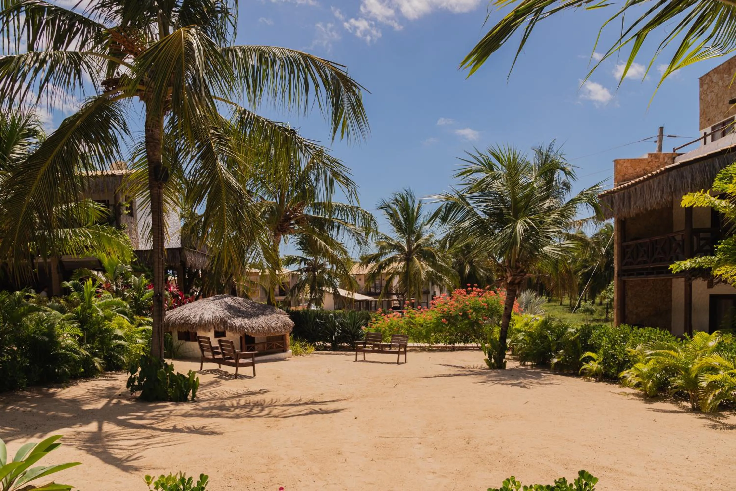 Day in Moriá Eco Lodge