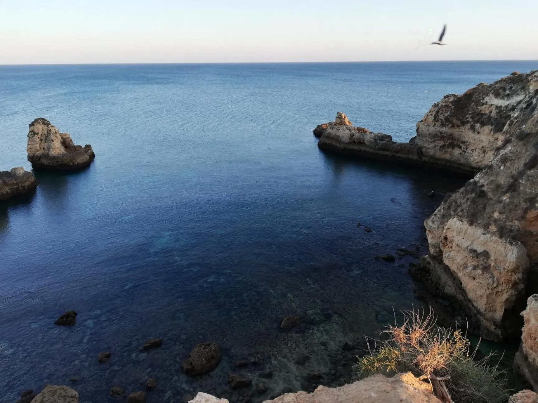 Nearby landmark in DeVVine Beach and Golf