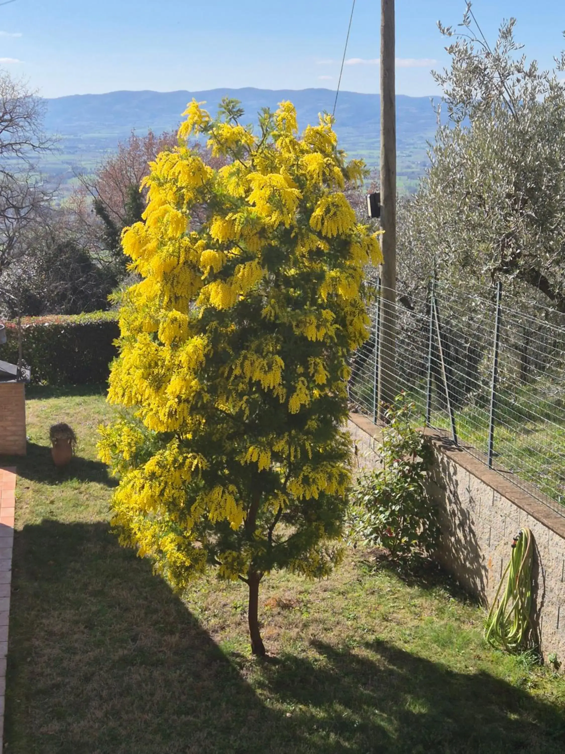 Double Room in Villa Bigio Double Room in Villa Bigio