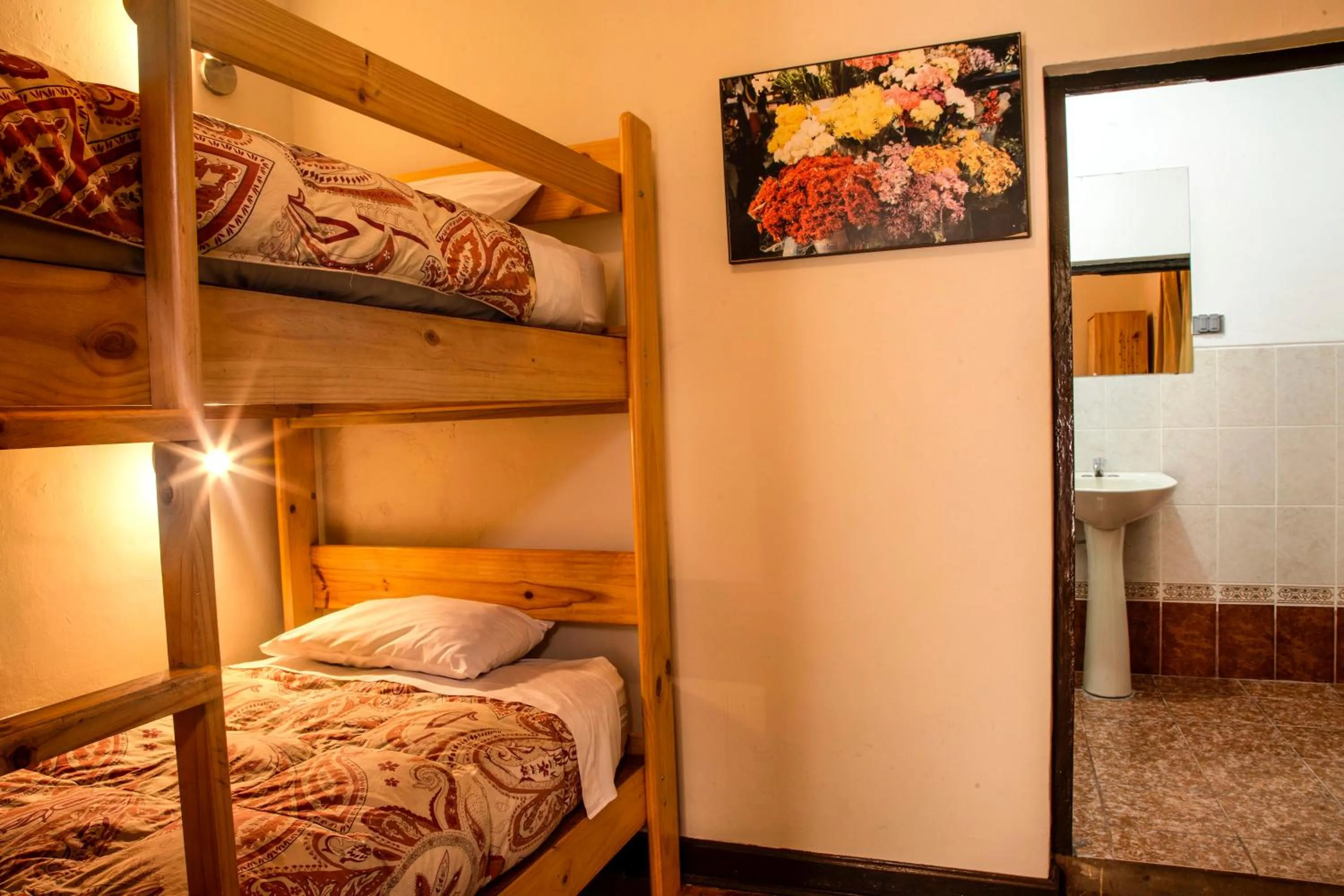 Bed in Bear Packer Hostel