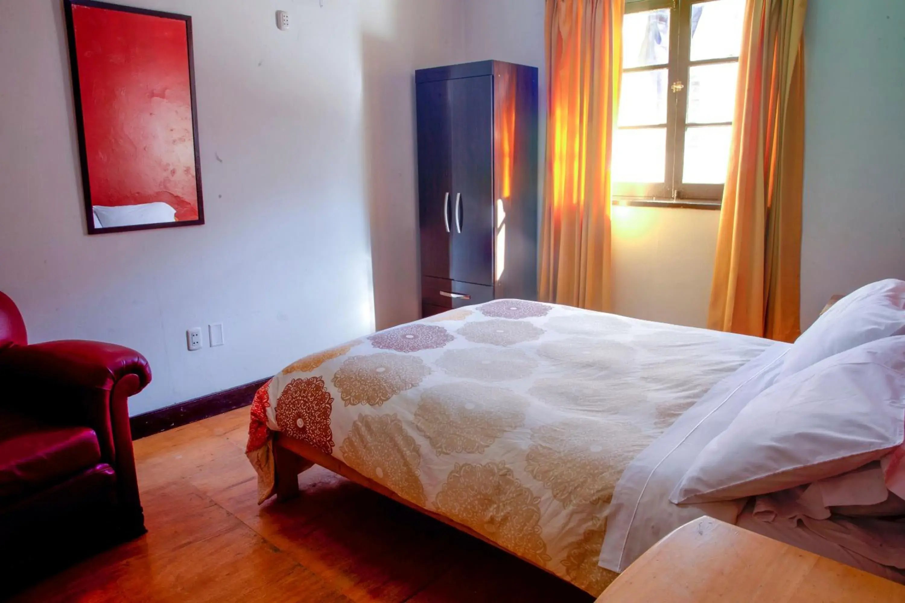 Bed in Bear Packer Hostel Bed in Bear Packer Hostel