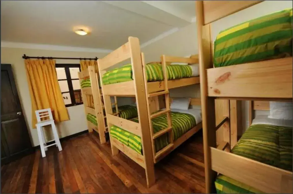 Bed in Bear Packer Hostel Bed in Bear Packer Hostel