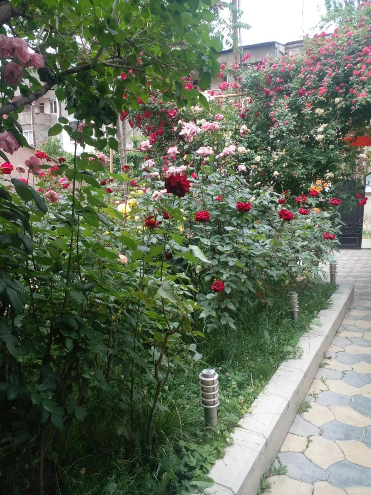 Property building in Comfort House Hotel