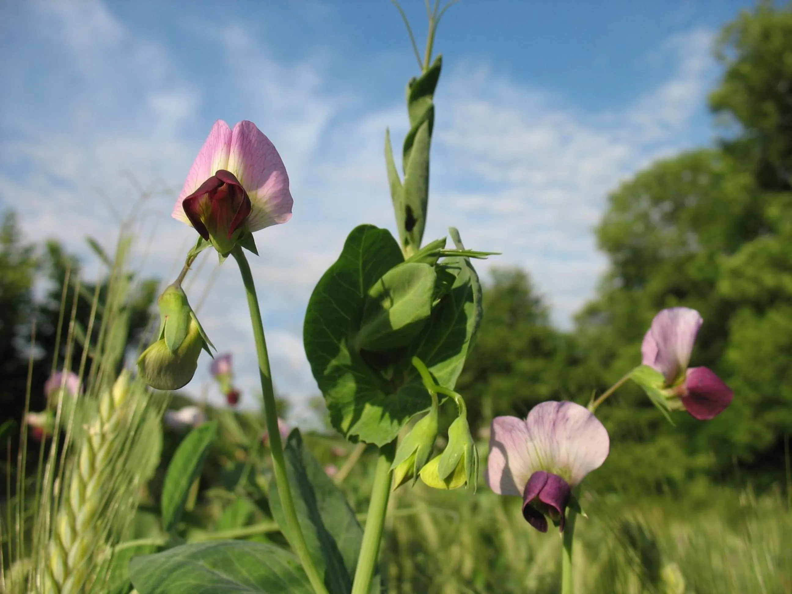 Area and facilities in Le Moulin du Barthas