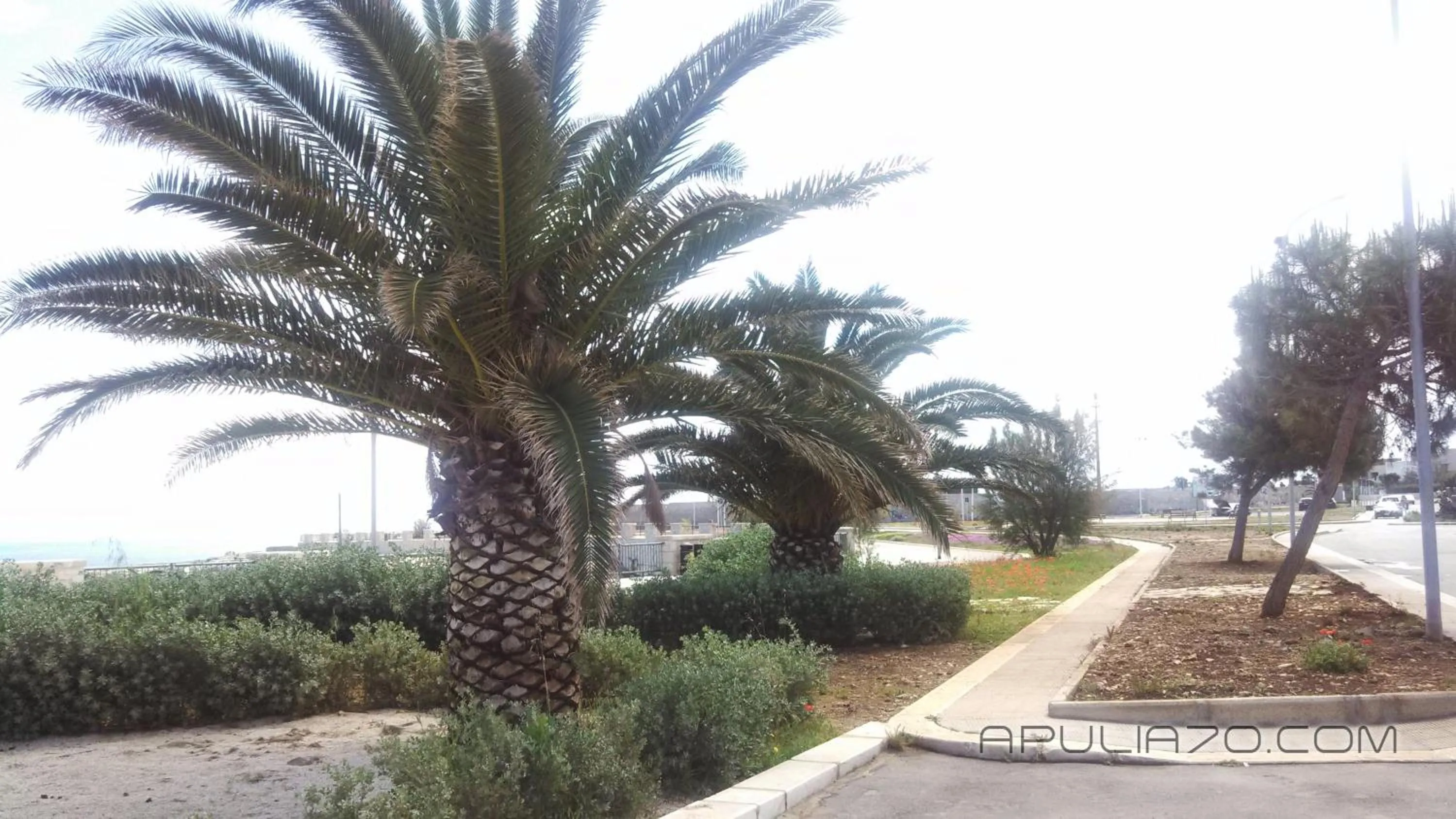 Natural landscape in Apulia 70 Holidays - Suites & Experiences