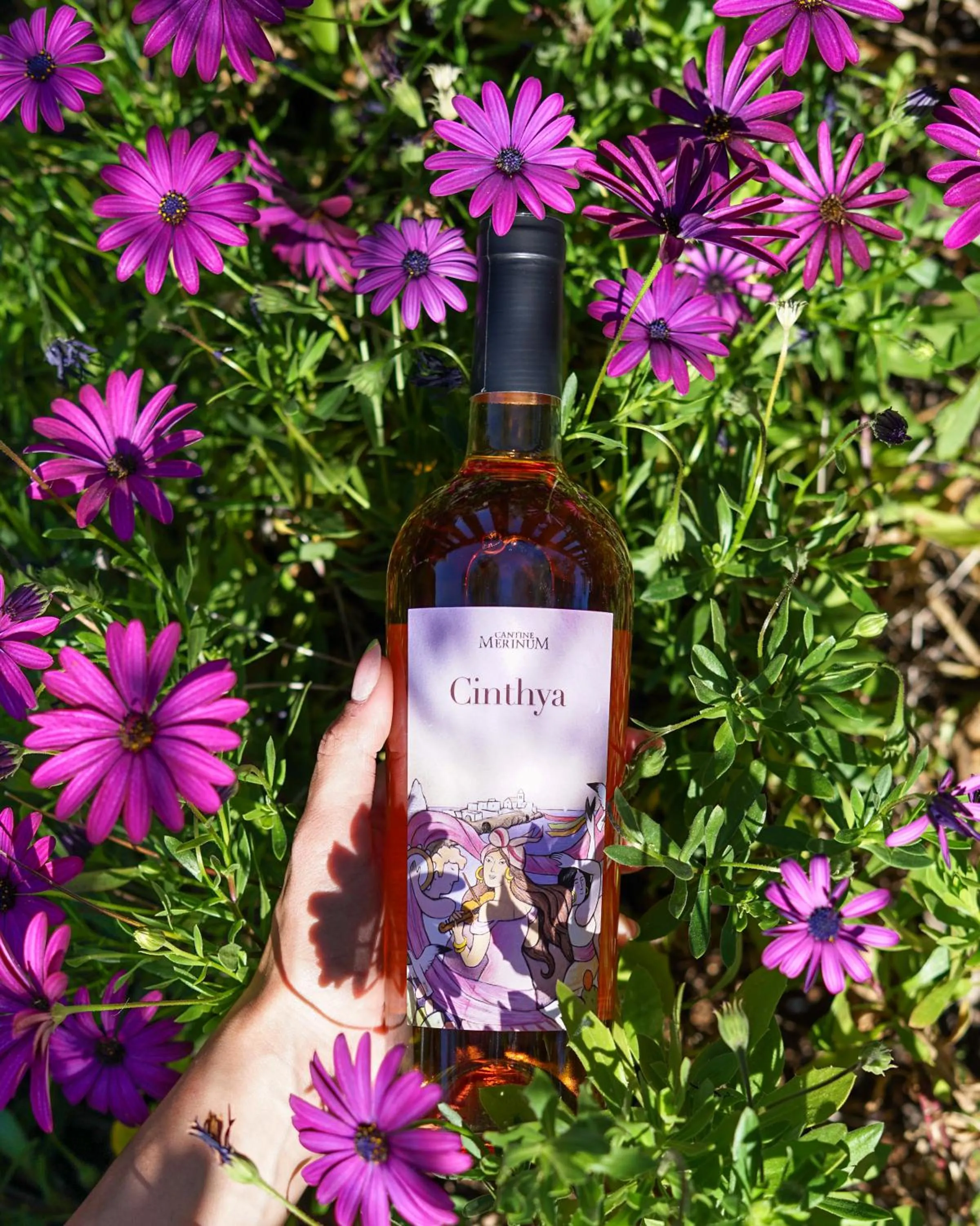 Restaurant/places to eat in Tenuta Padre Pio