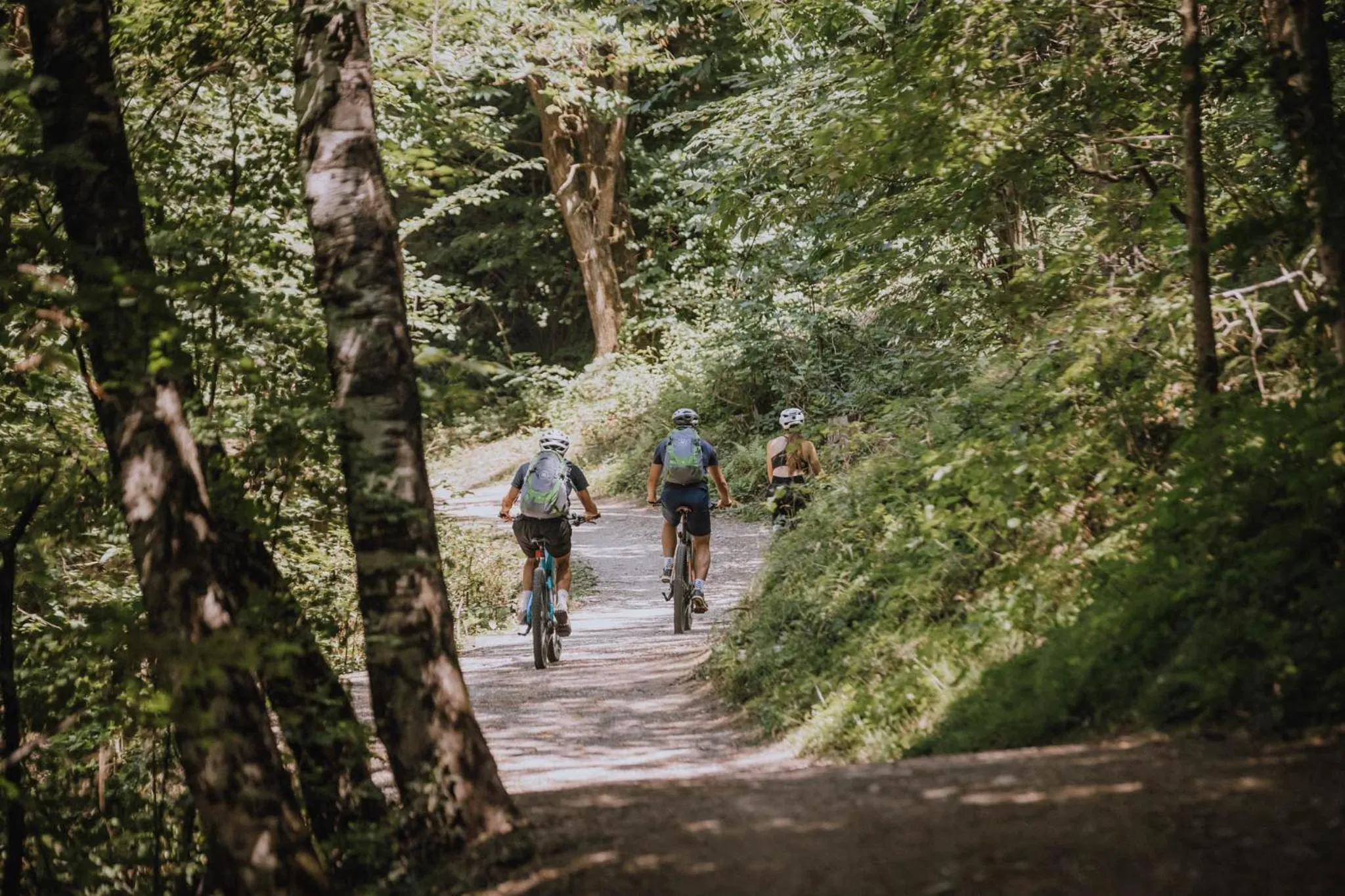 Cycling in Gartenhotel Moser