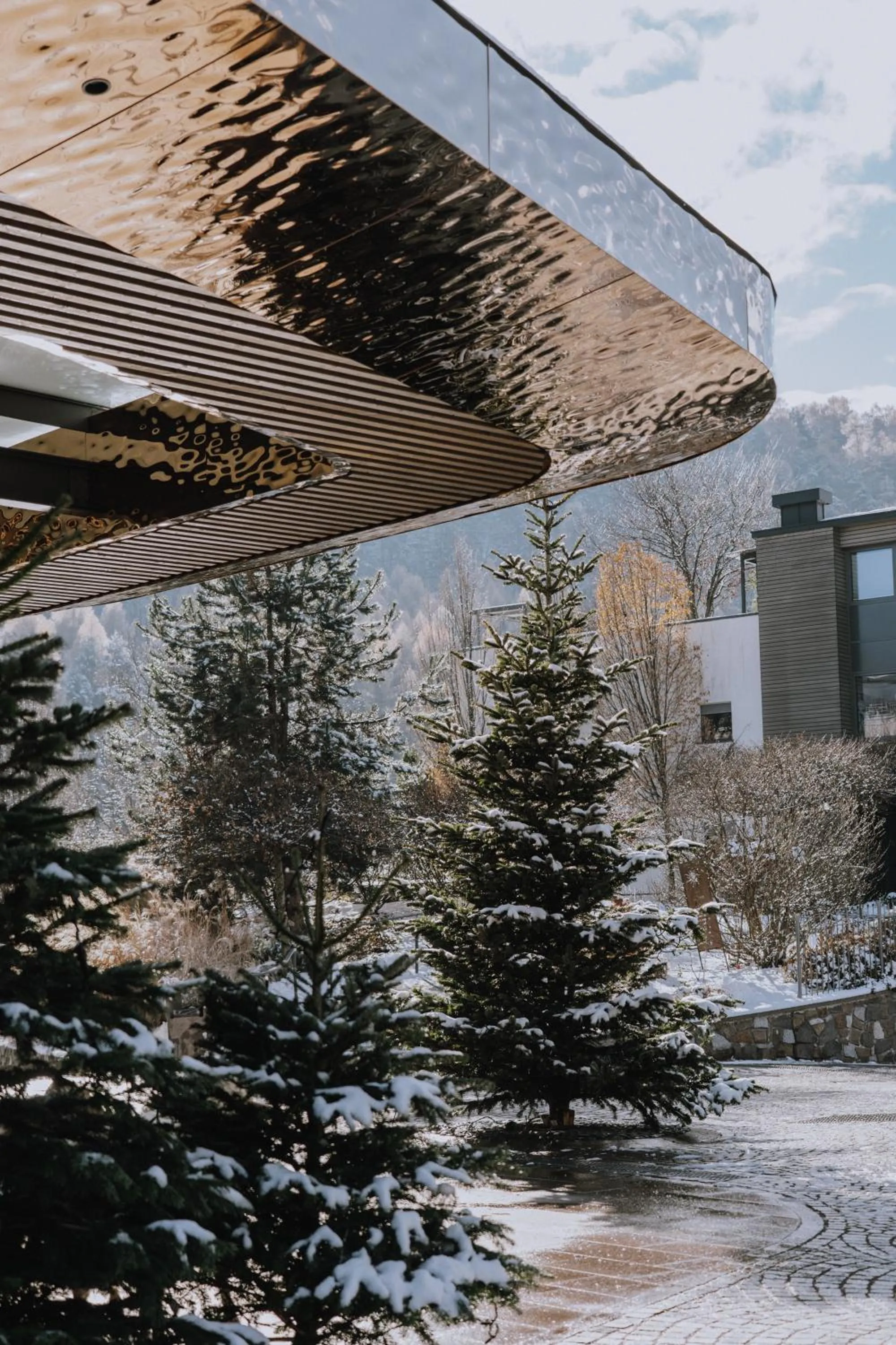 Winter in Gartenhotel Moser