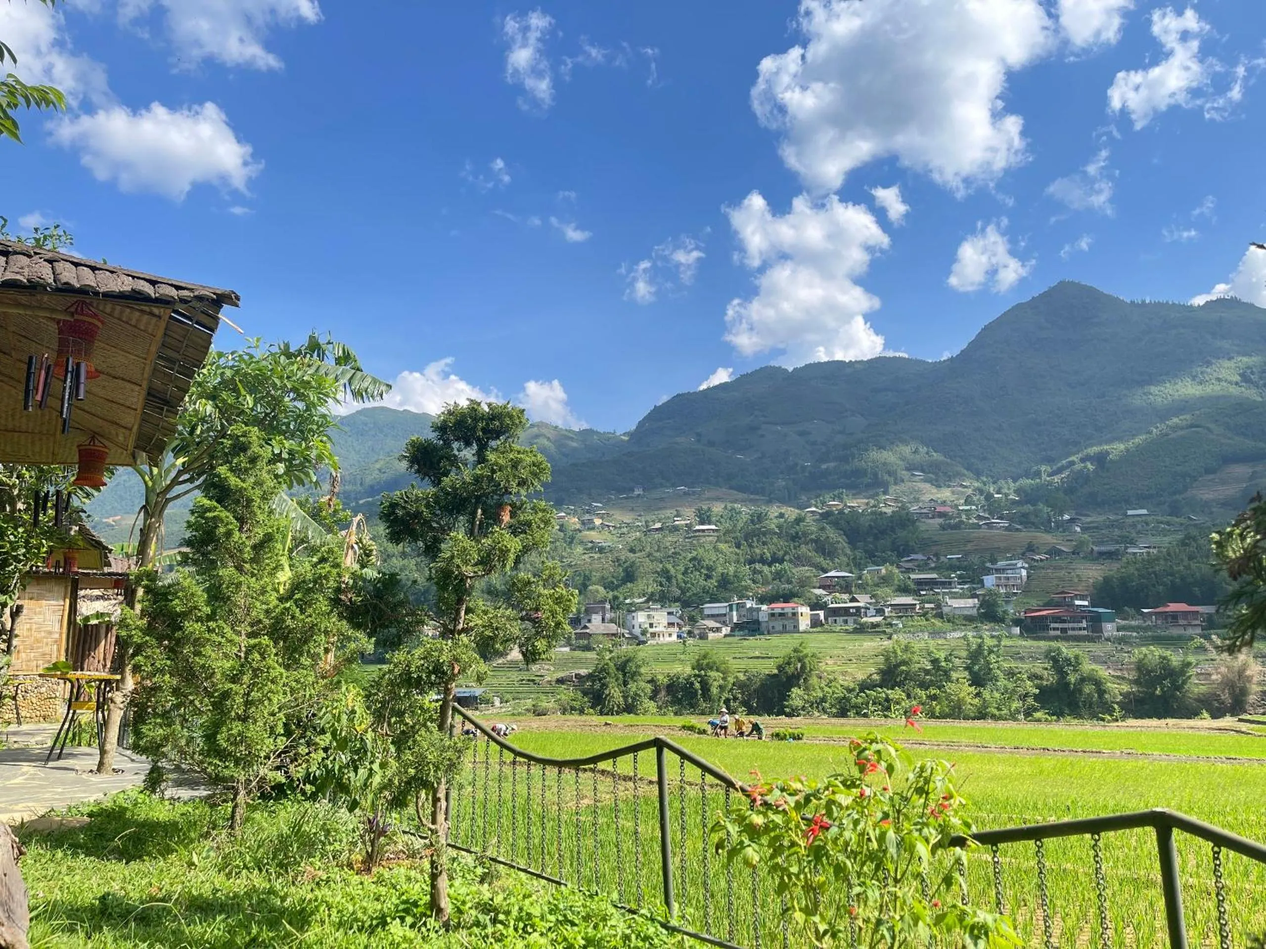 Natural landscape in Sapa Bamboo Eco