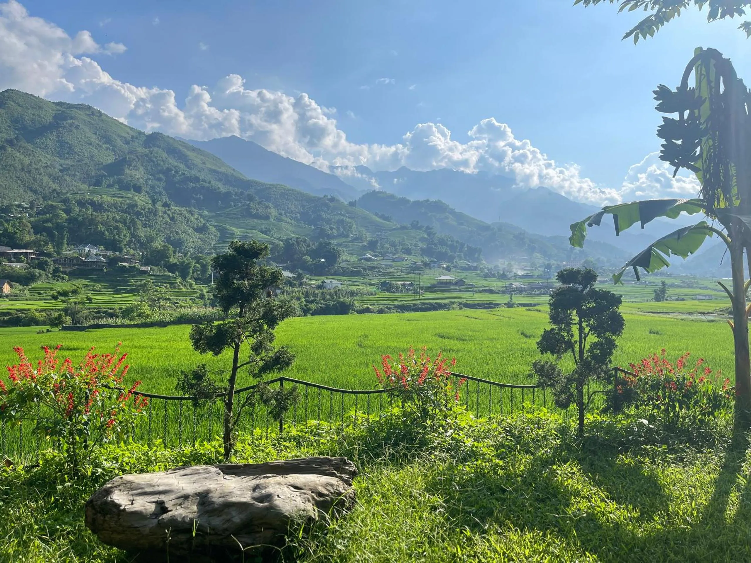 Natural landscape in Sapa Bamboo Eco