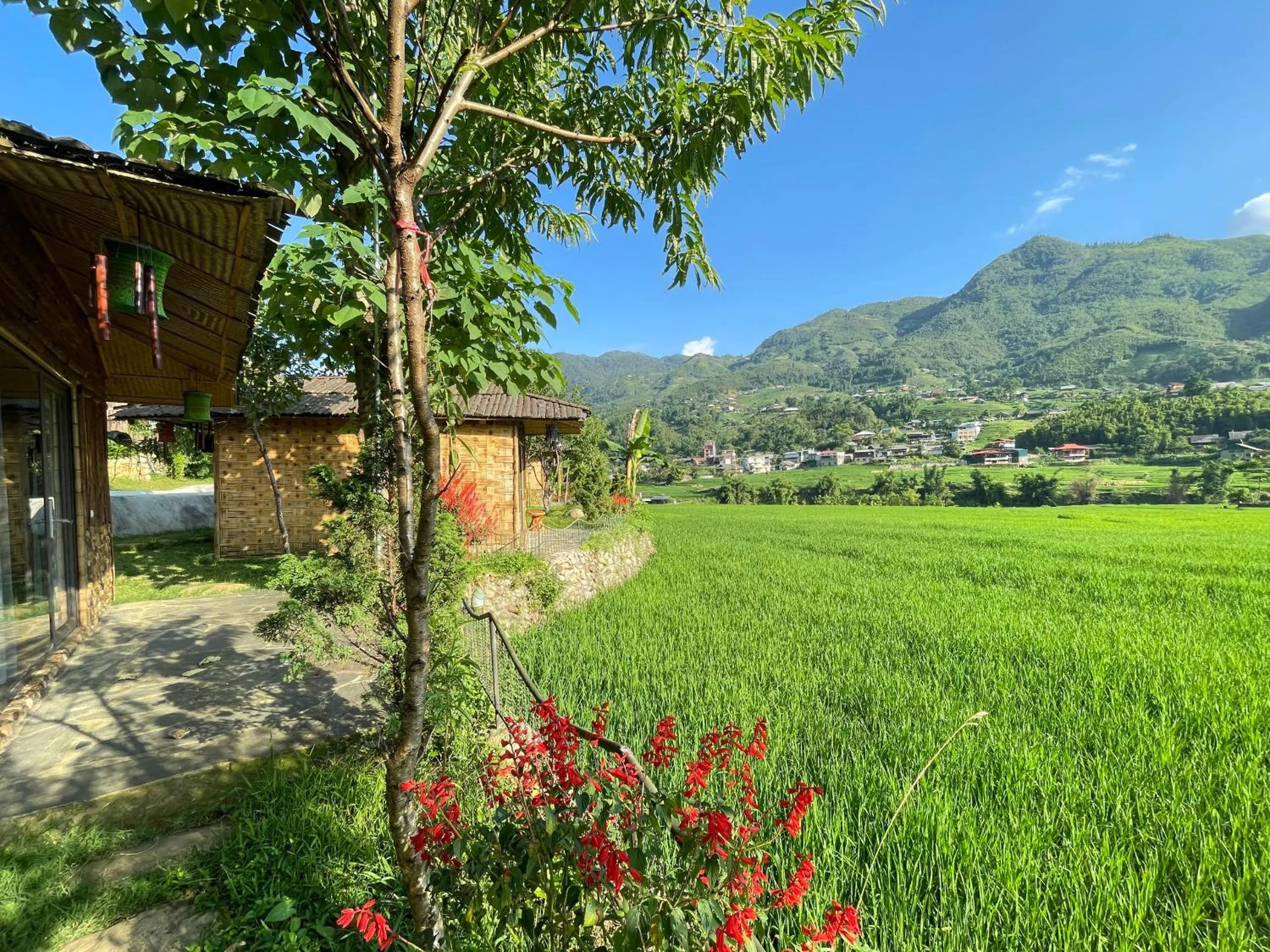 Natural landscape in Sapa Bamboo Eco