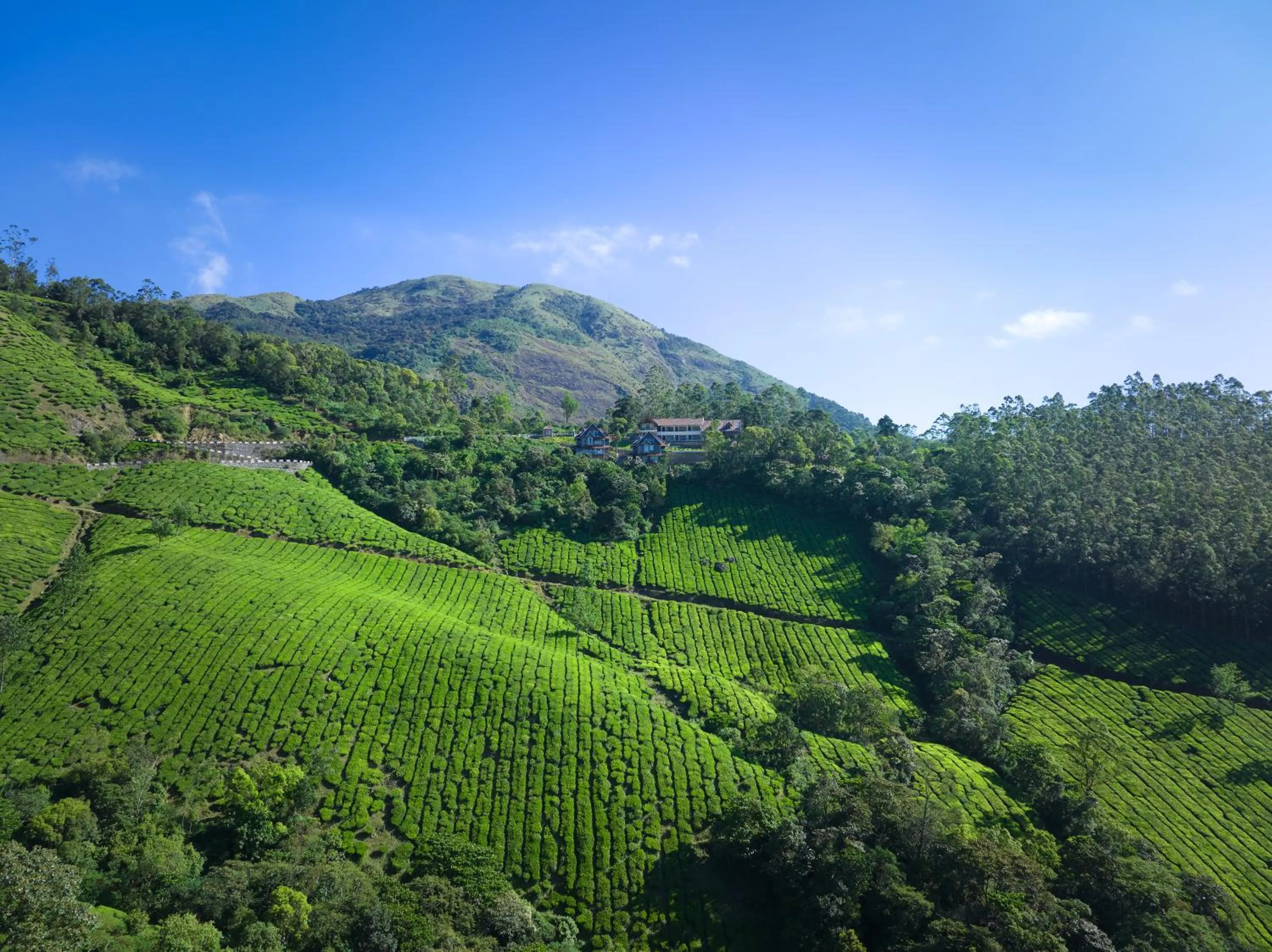 Mountain view in The Planet Munnar