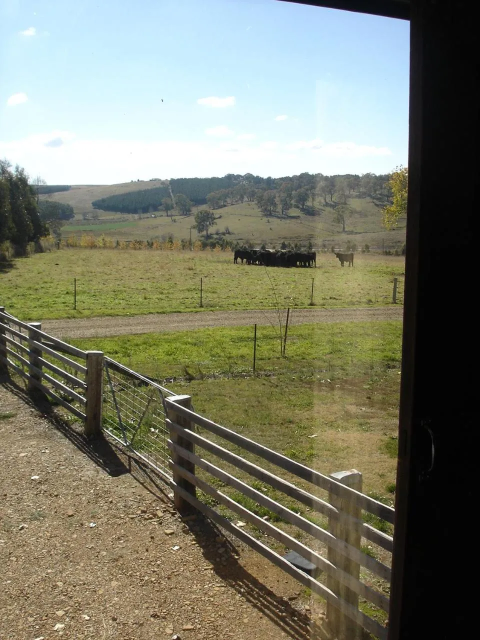 Black Sheep Inn
