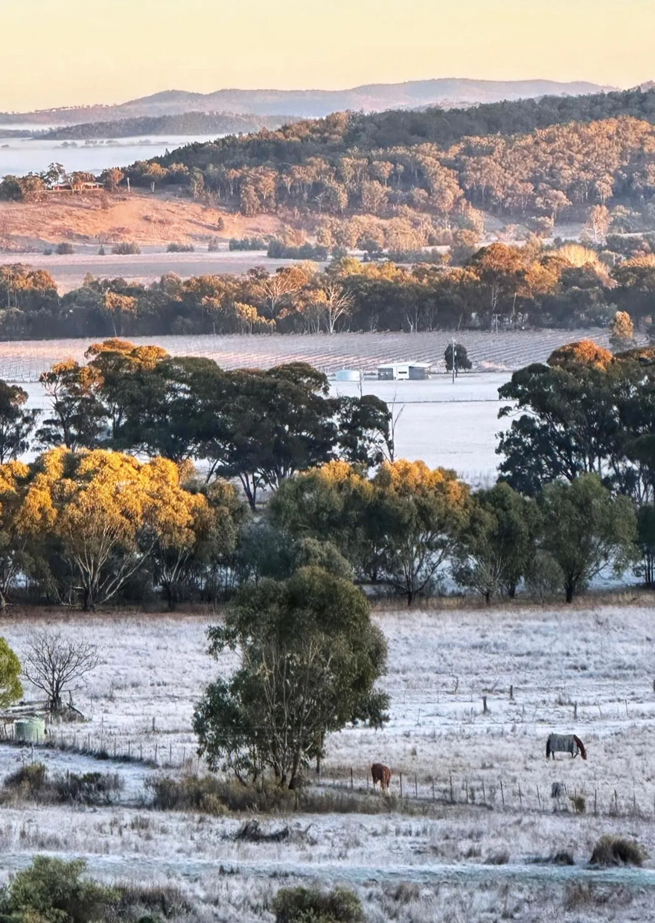 View (from property/room) in Mudgee Homestead Guesthouse