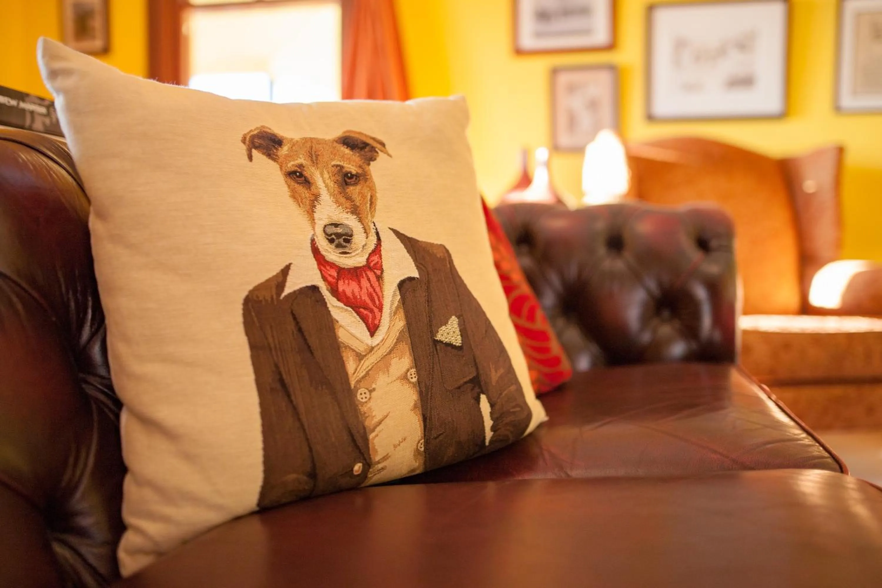 Communal lounge/ TV room in Mudgee Homestead Guesthouse