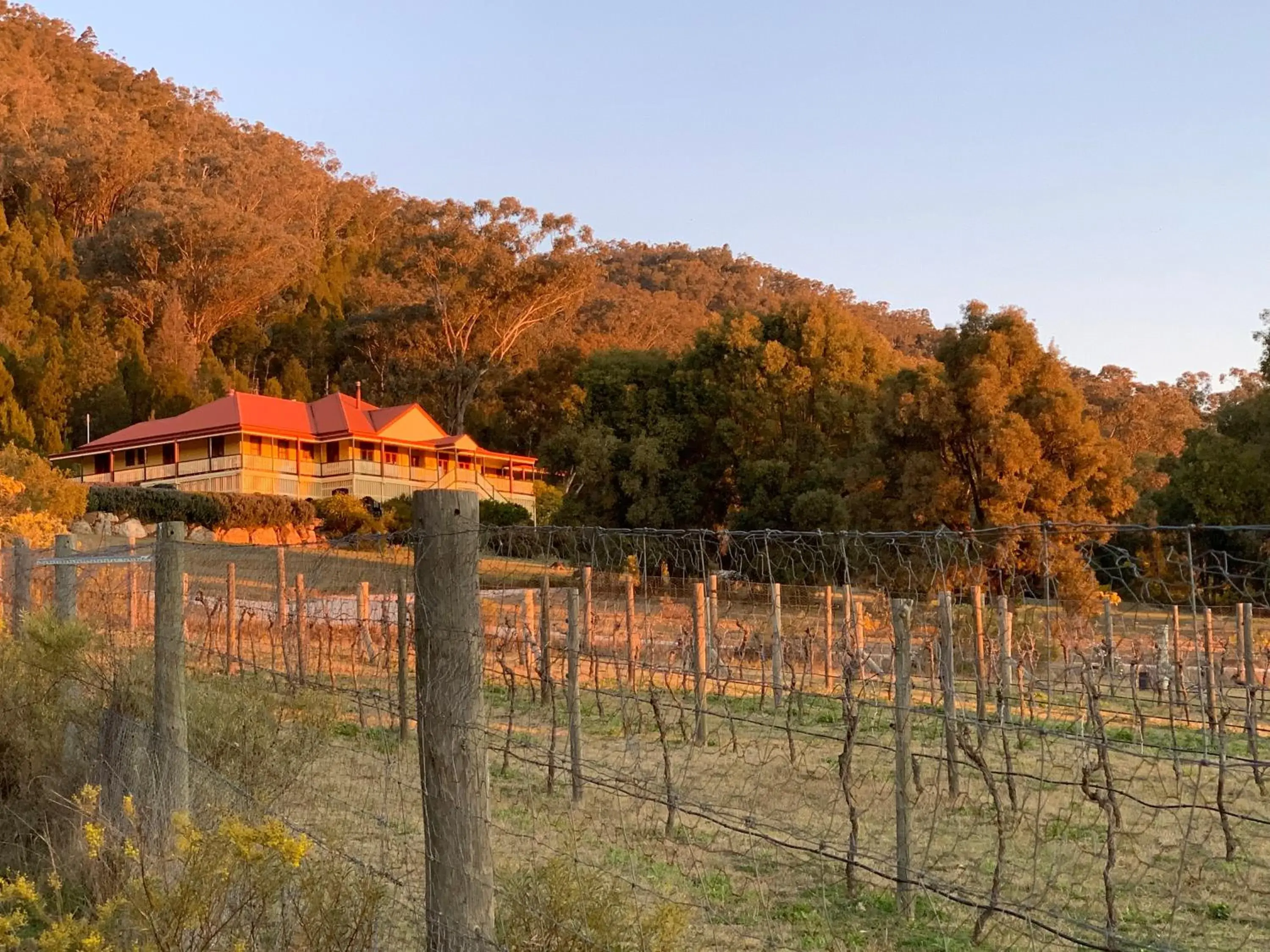 Property building in Mudgee Homestead Guesthouse Property building in Mudgee Homestead Guesthouse