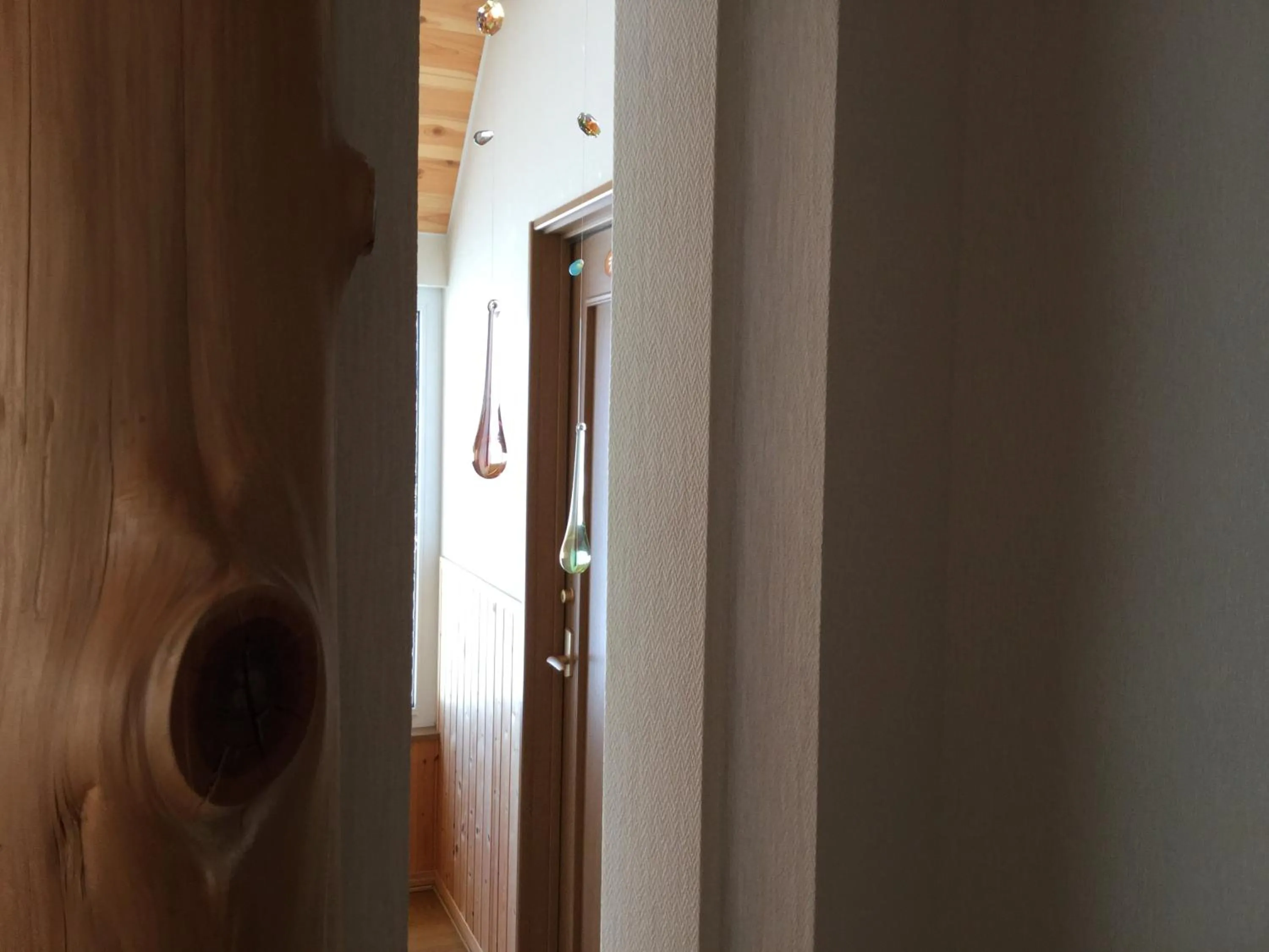 Other in Pension Landscape Furano