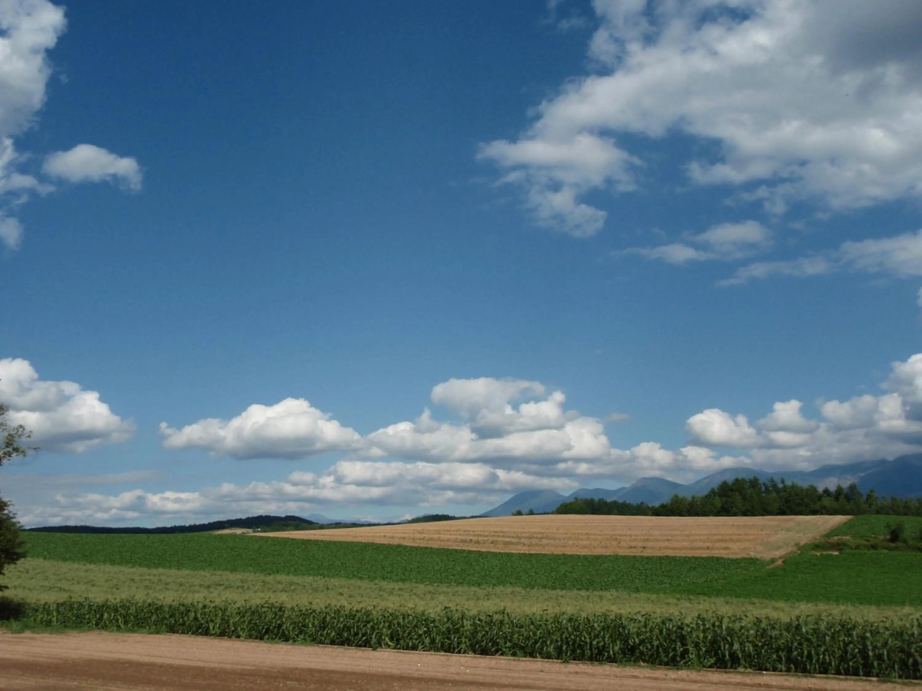 Other in Pension Landscape Furano