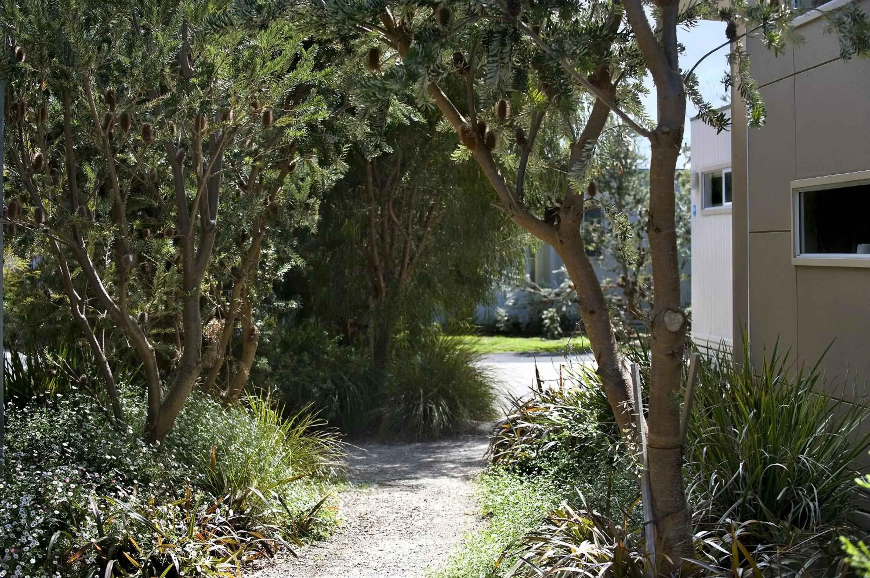 Garden view in BIG4 Ingenia Holidays Queenscliff Beacon Garden view in BIG4 Ingenia Holidays Queenscliff Beacon