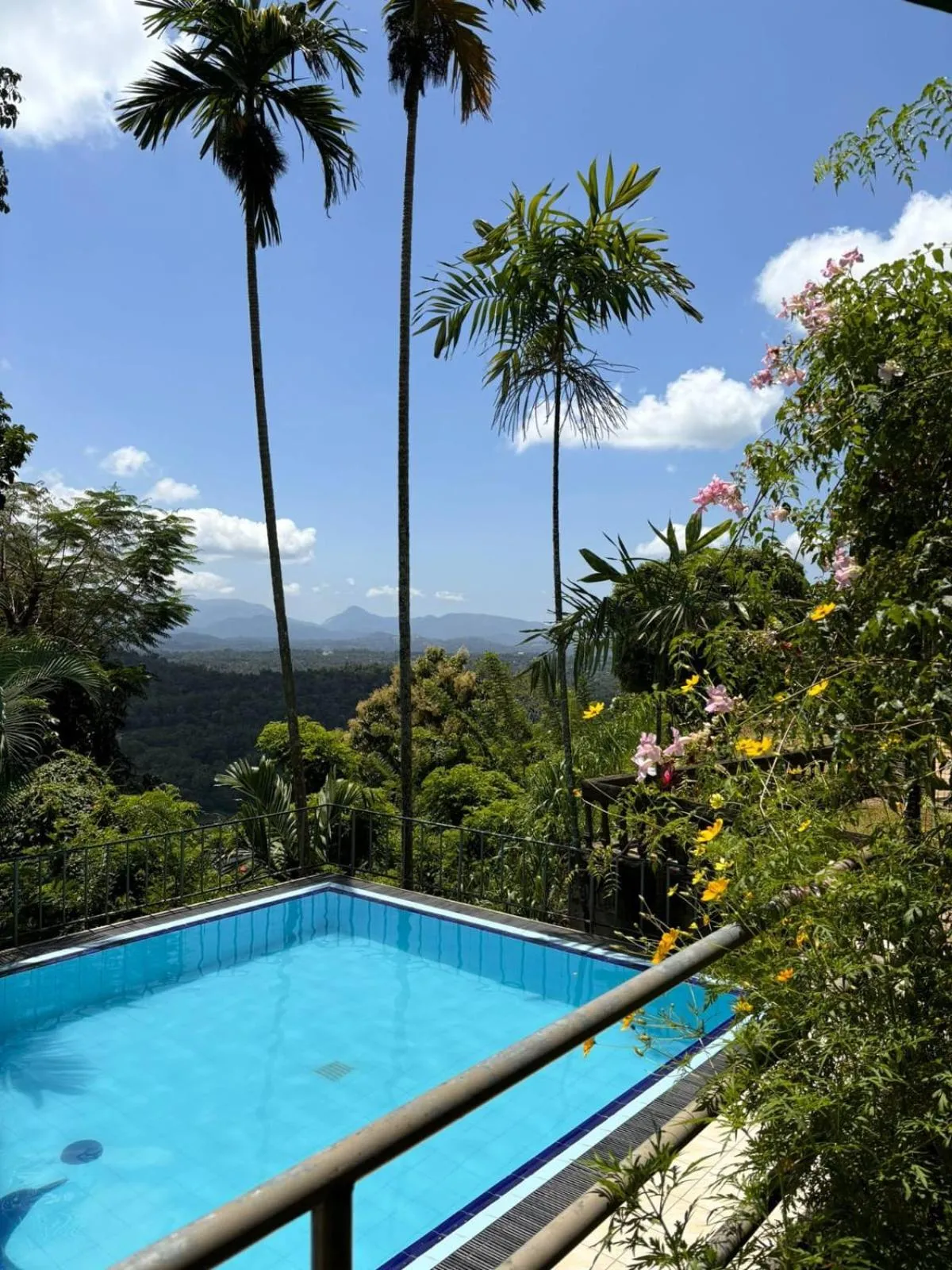 Swimming pool in Sky Pavilion