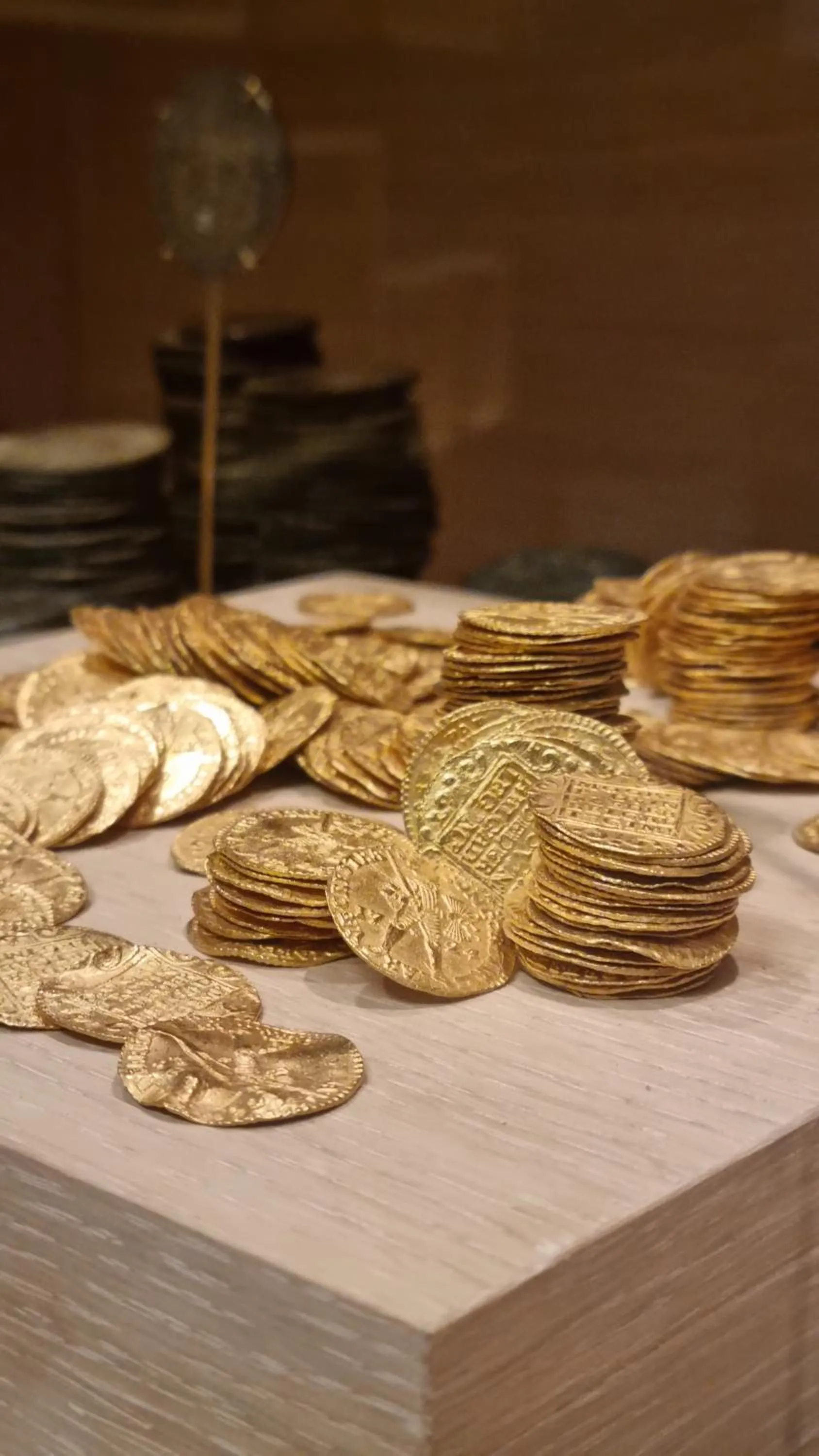 Activities in Runde Miljøsenter & Opplev Runde