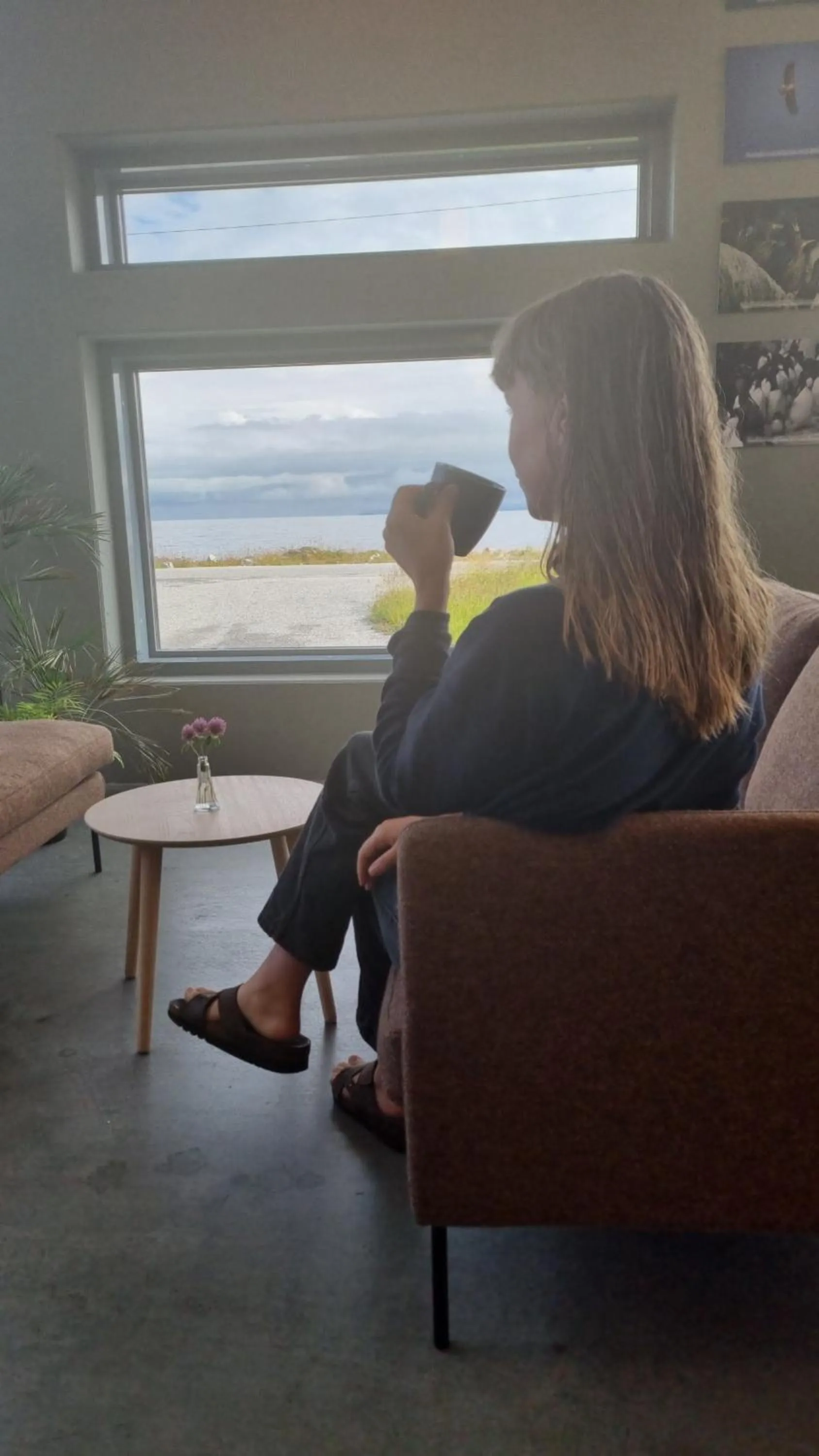 Restaurant/places to eat in Runde Miljøsenter & Opplev Runde