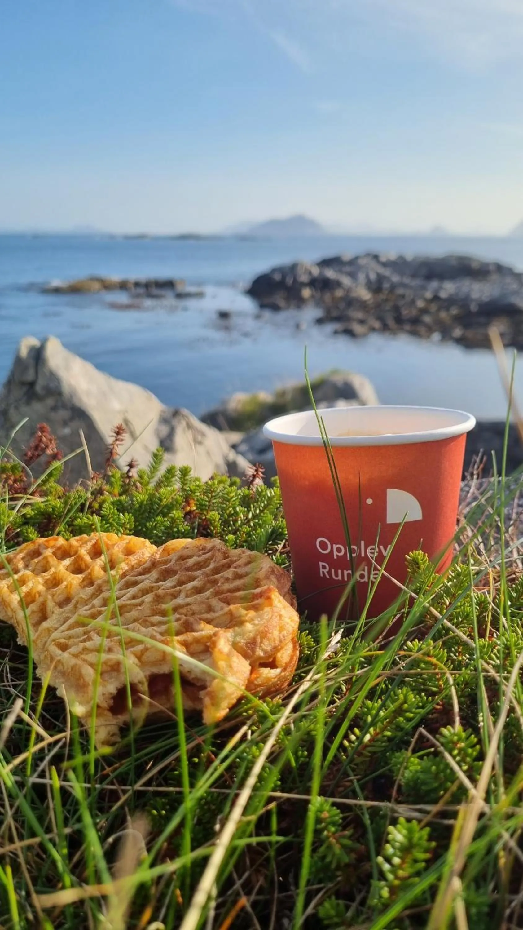 Restaurant/places to eat in Runde Miljøsenter & Opplev Runde