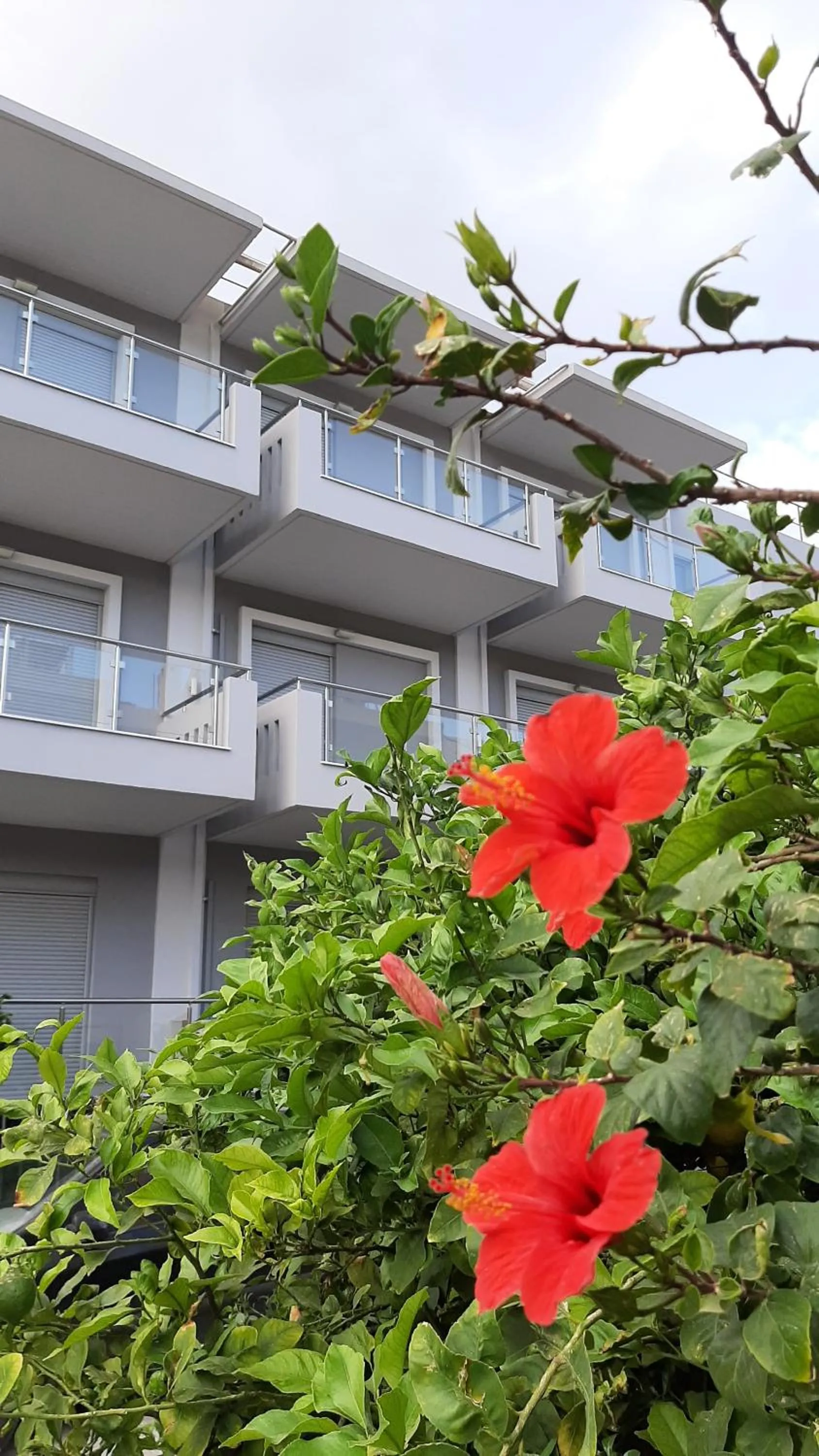 Property building in Vesperi Studios & Apartments