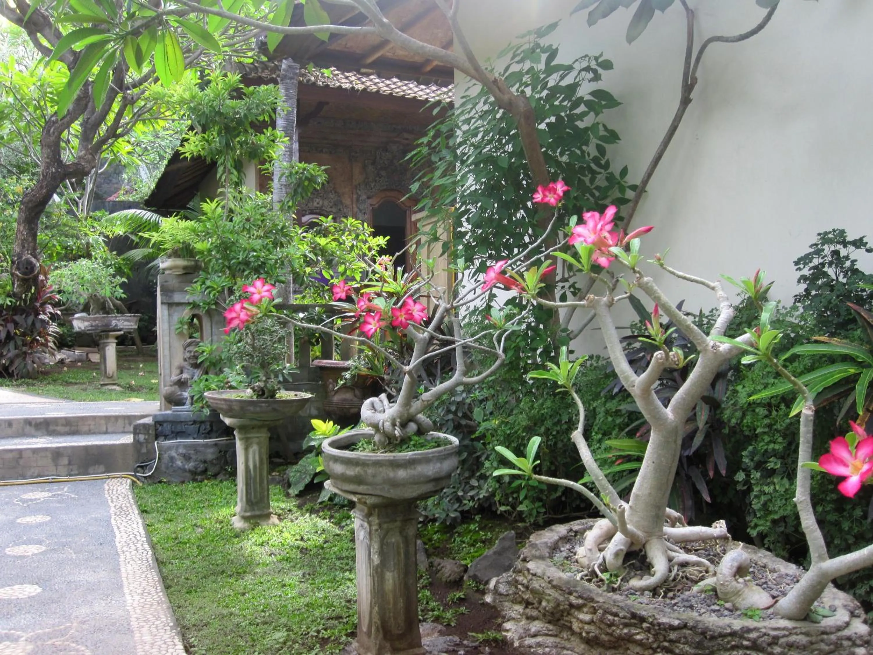 Garden in Galang Kangin Bungalows