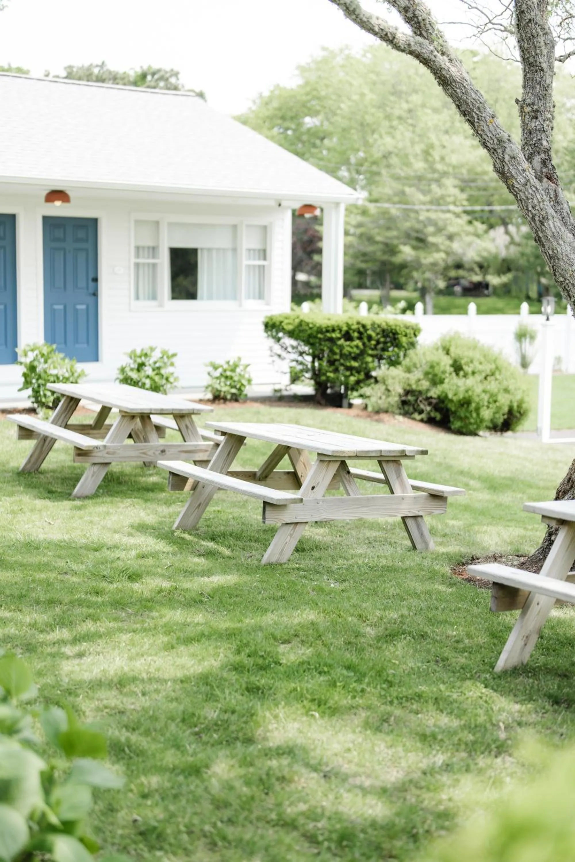 Garden in Greyfinch Chatham Inn