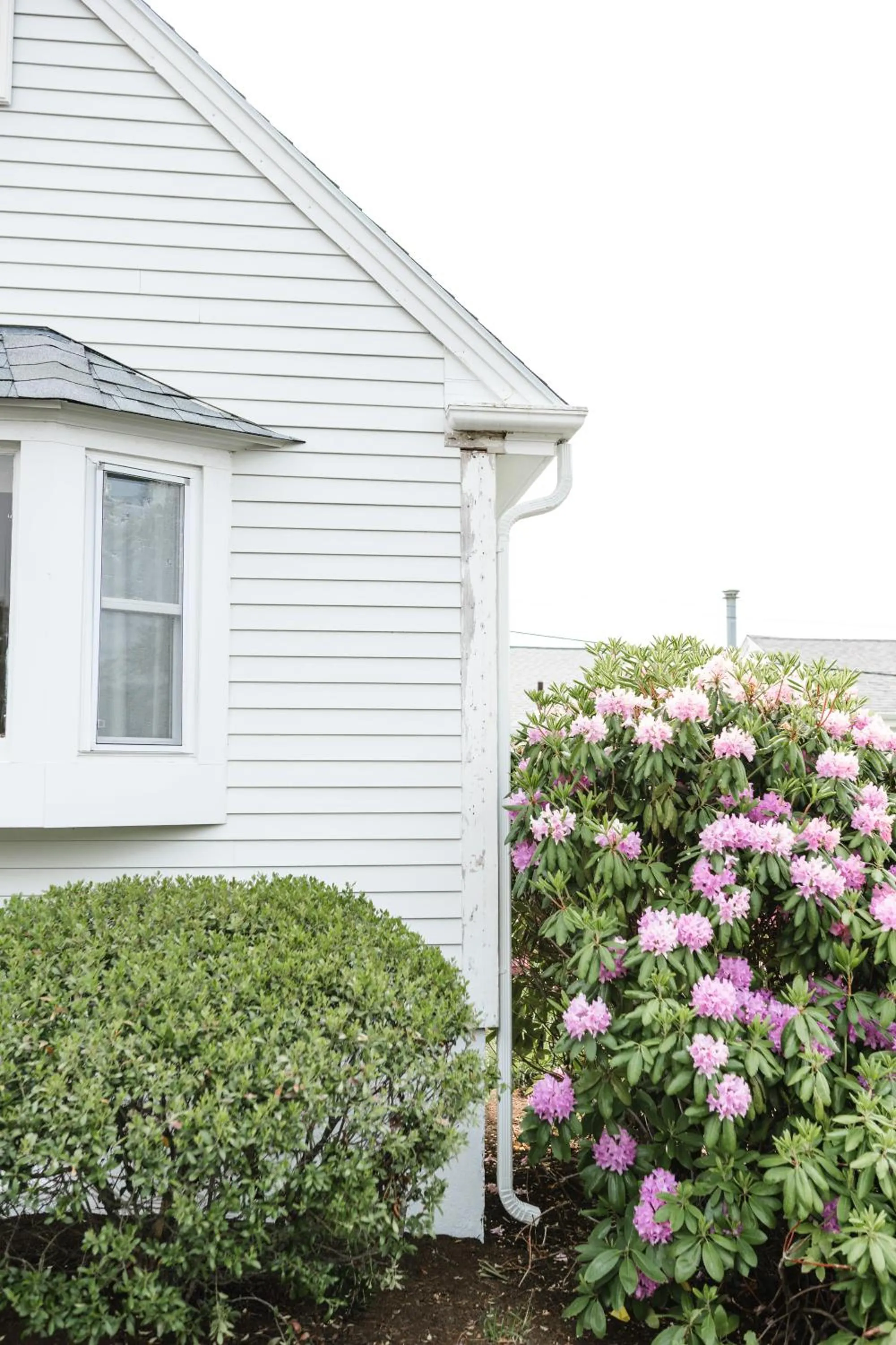 Garden in Greyfinch Chatham Inn