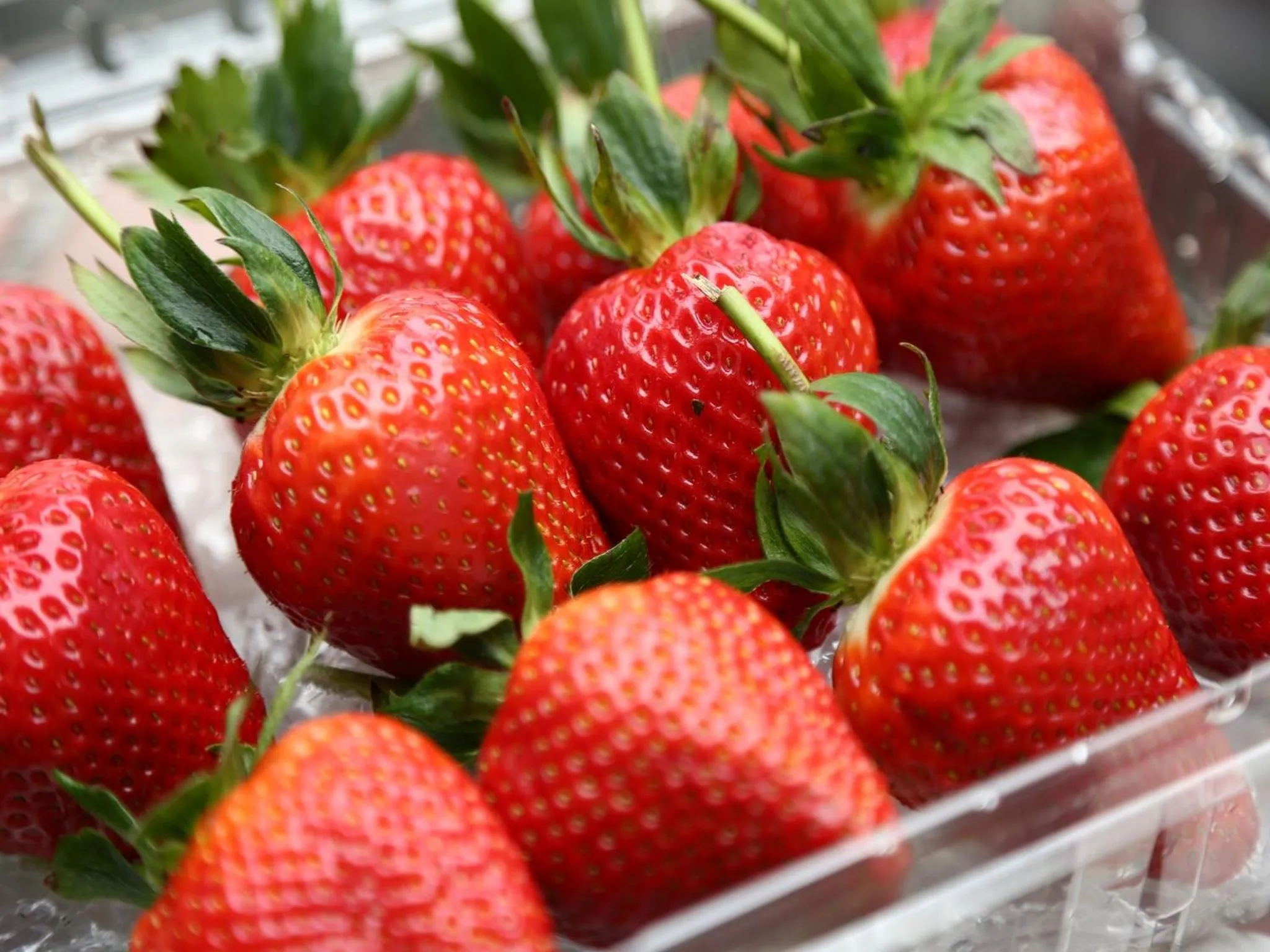 Decorative detail in Super Inn