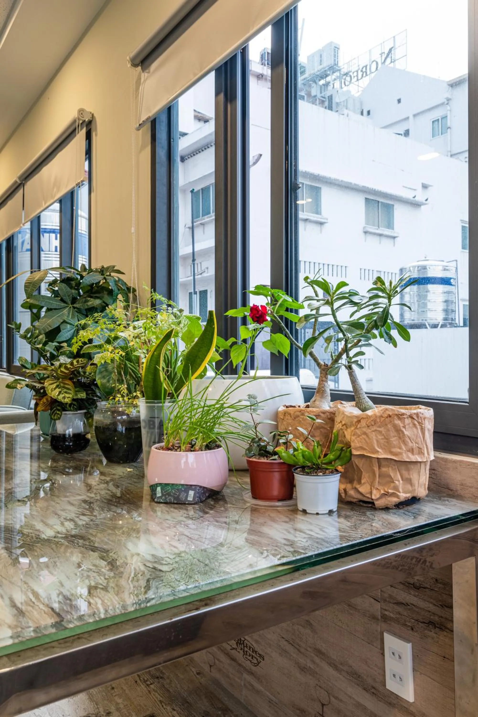 Property building in LalaHouse Spring Apartment - Saigon Center