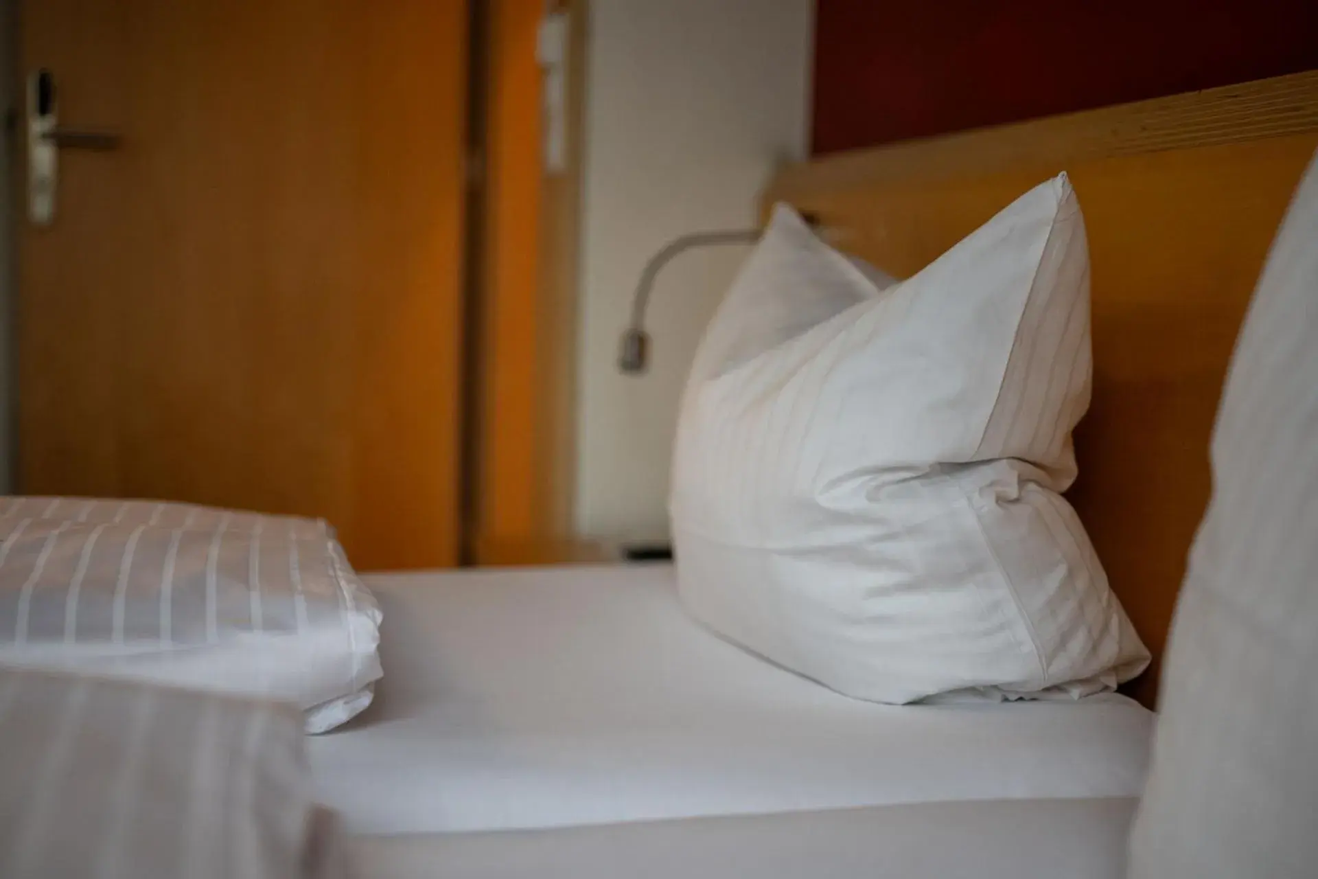 Deluxe Studio - single occupancy in Schäfle Feldkirch-Altenstadt Deluxe Studio - single occupancy in Schäfle Feldkirch-Altenstadt