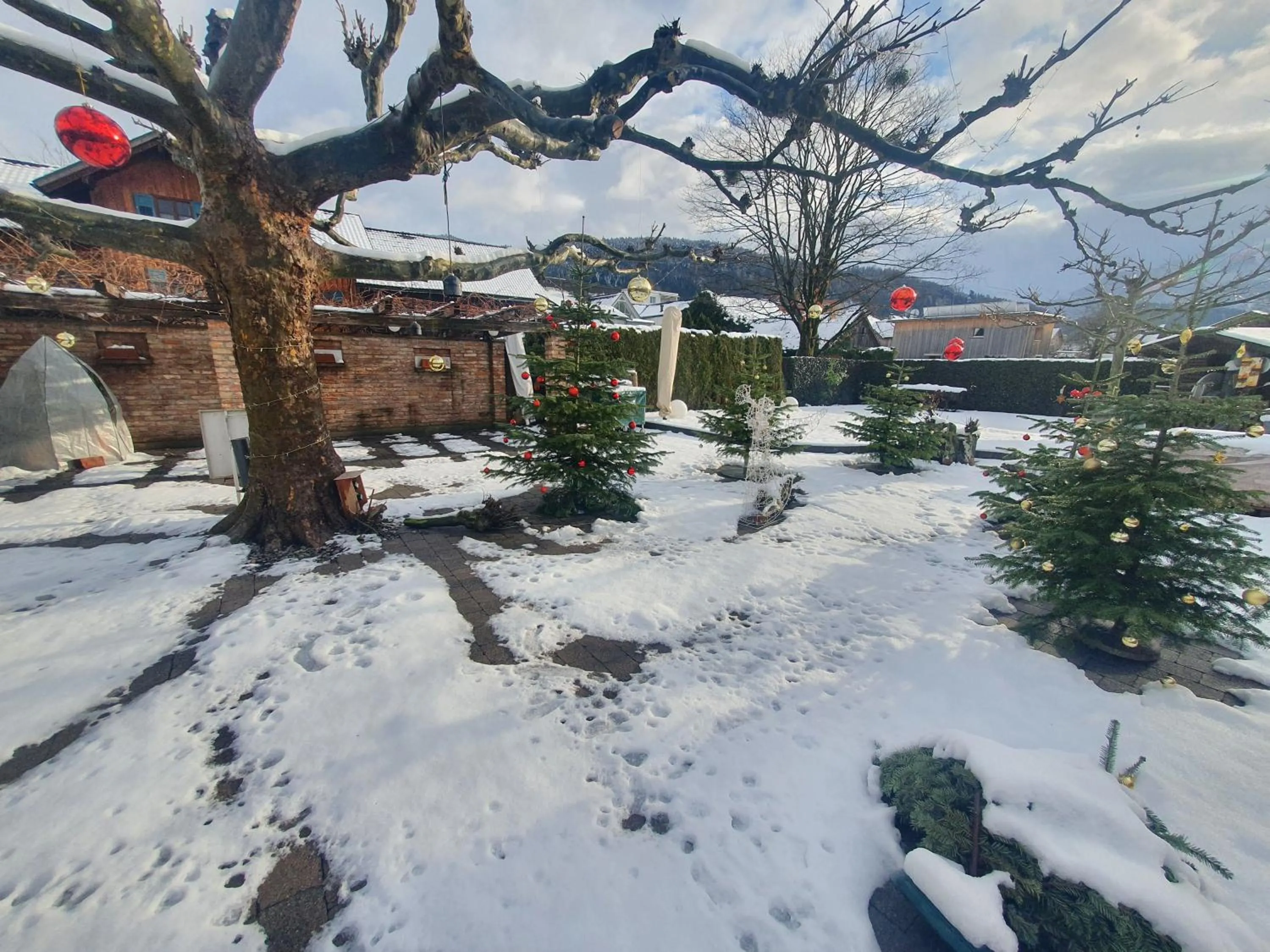 Balcony/Terrace in Schäfle Feldkirch-Altenstadt