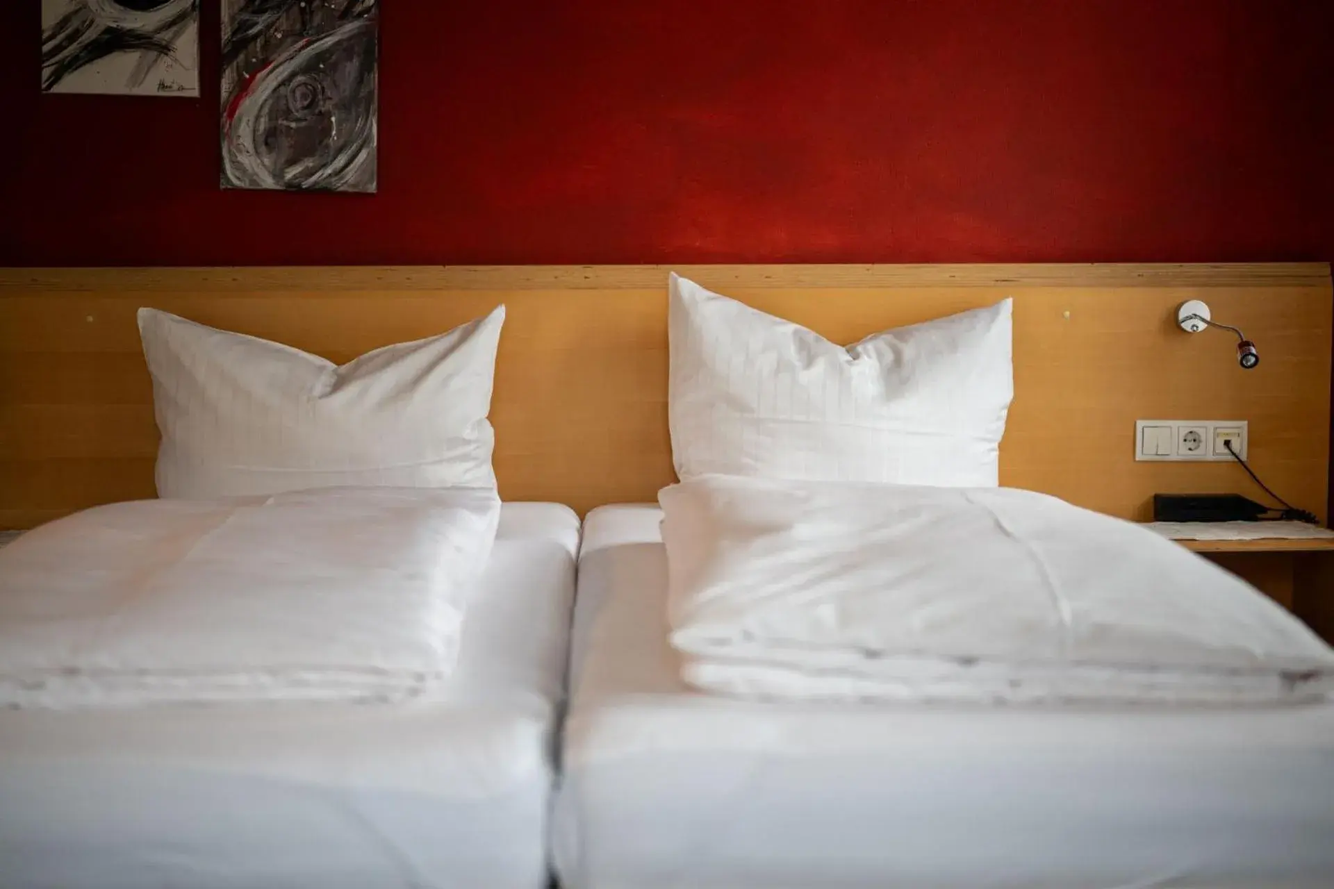 Double Room with Balcony - single occupancy in Schäfle Feldkirch-Altenstadt Double Room with Balcony - single occupancy in Schäfle Feldkirch-Altenstadt