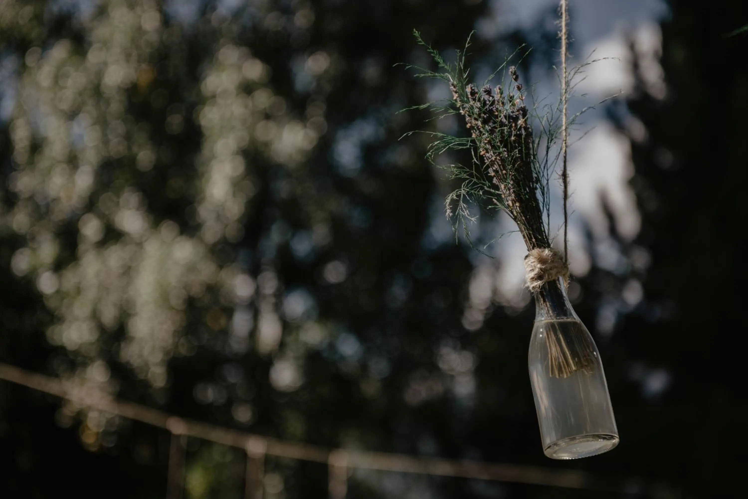 Decorative detail in Meublè Sci Sport