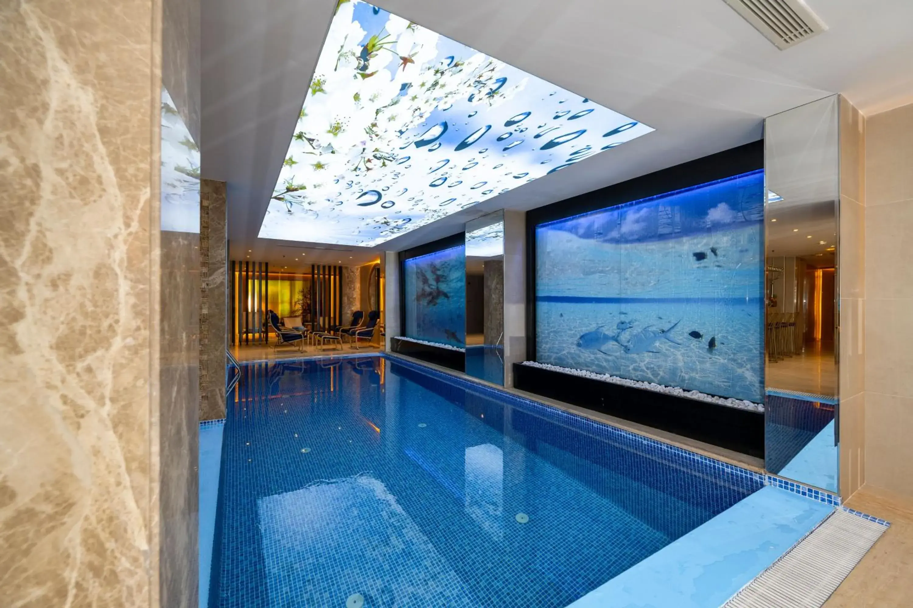 Pool view in Freya Hotel Pool view in Freya Hotel