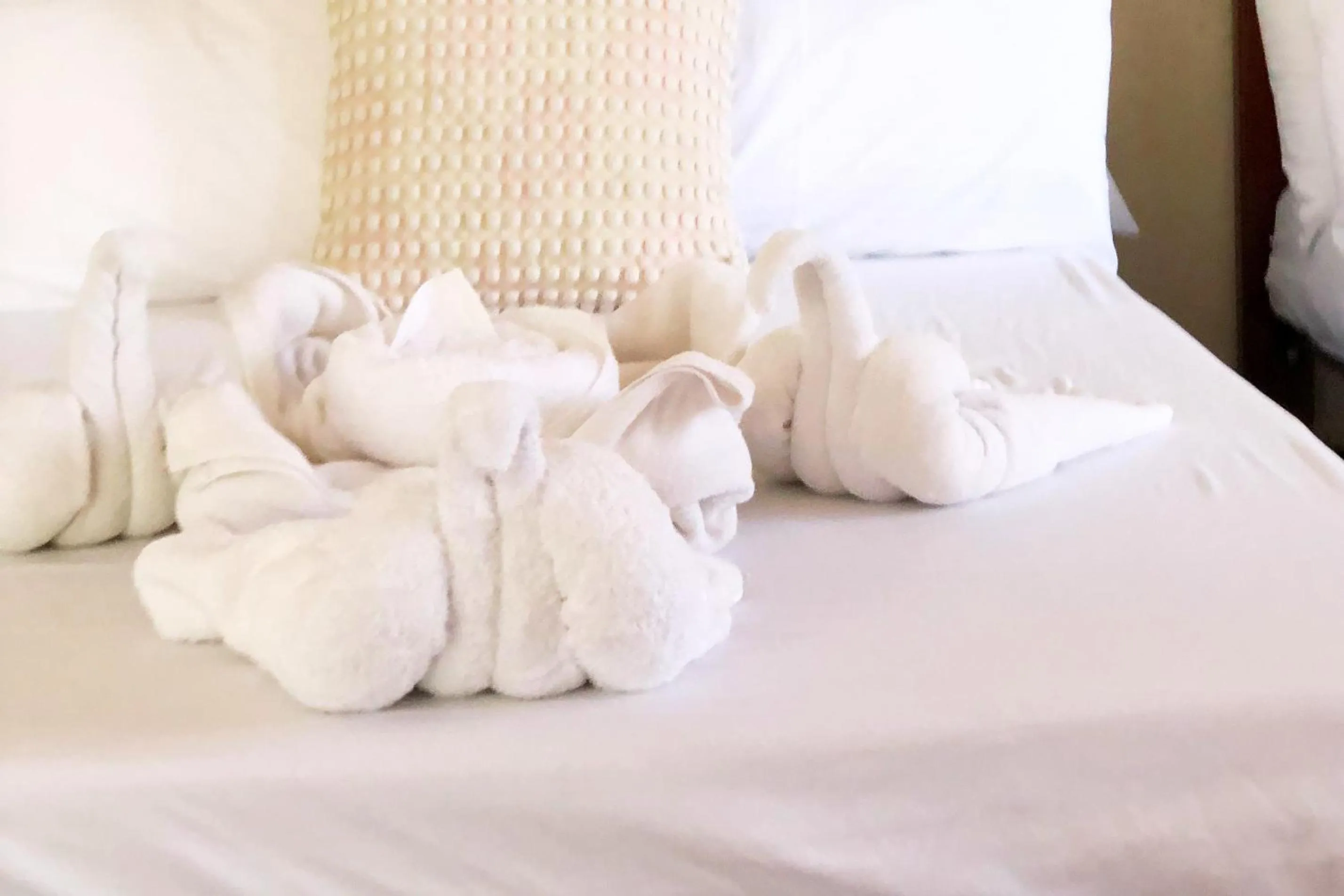 Bed in Torres Farm Resort powered by Cocotel