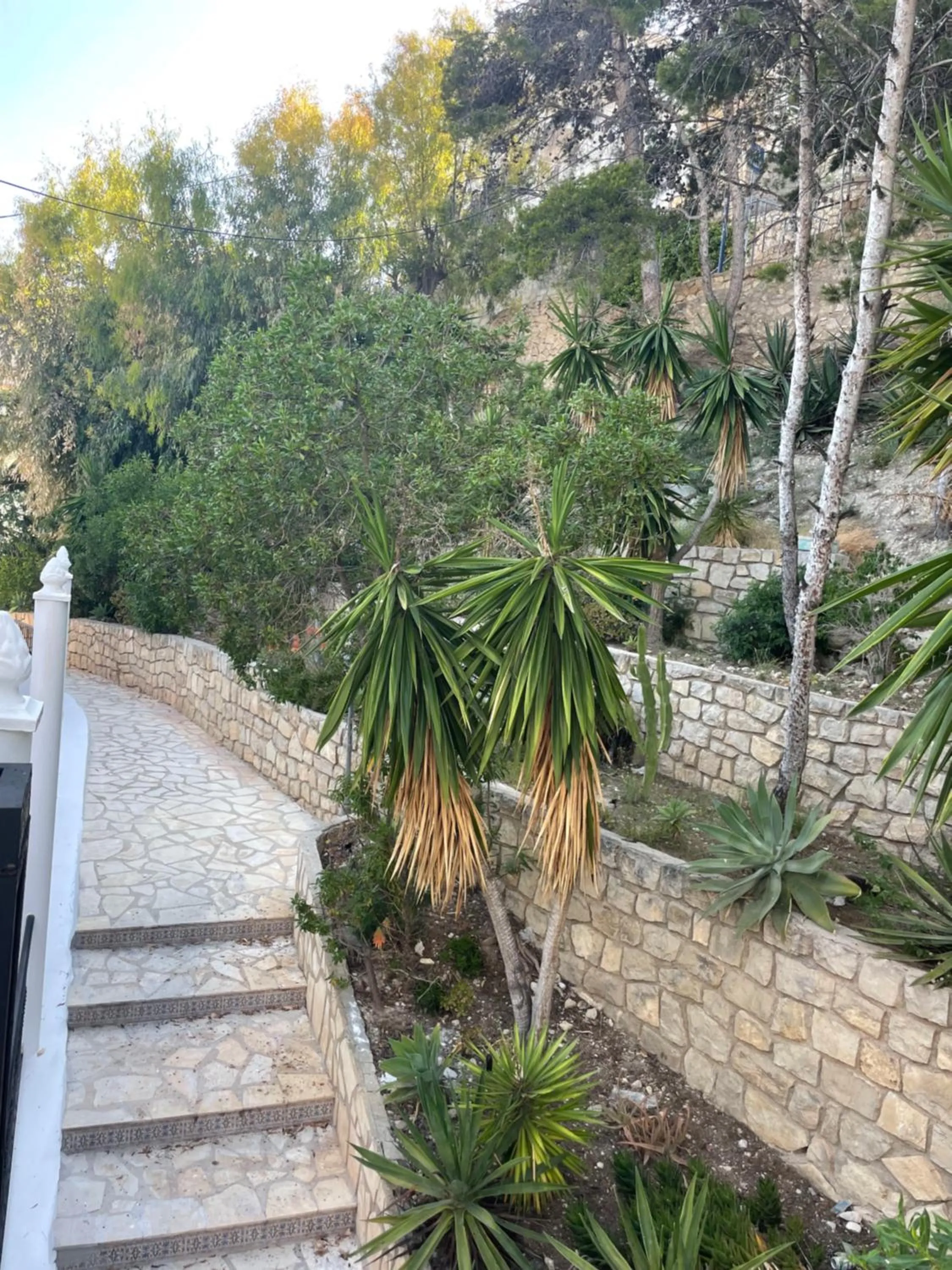 Garden in Apartamentos Bahia
