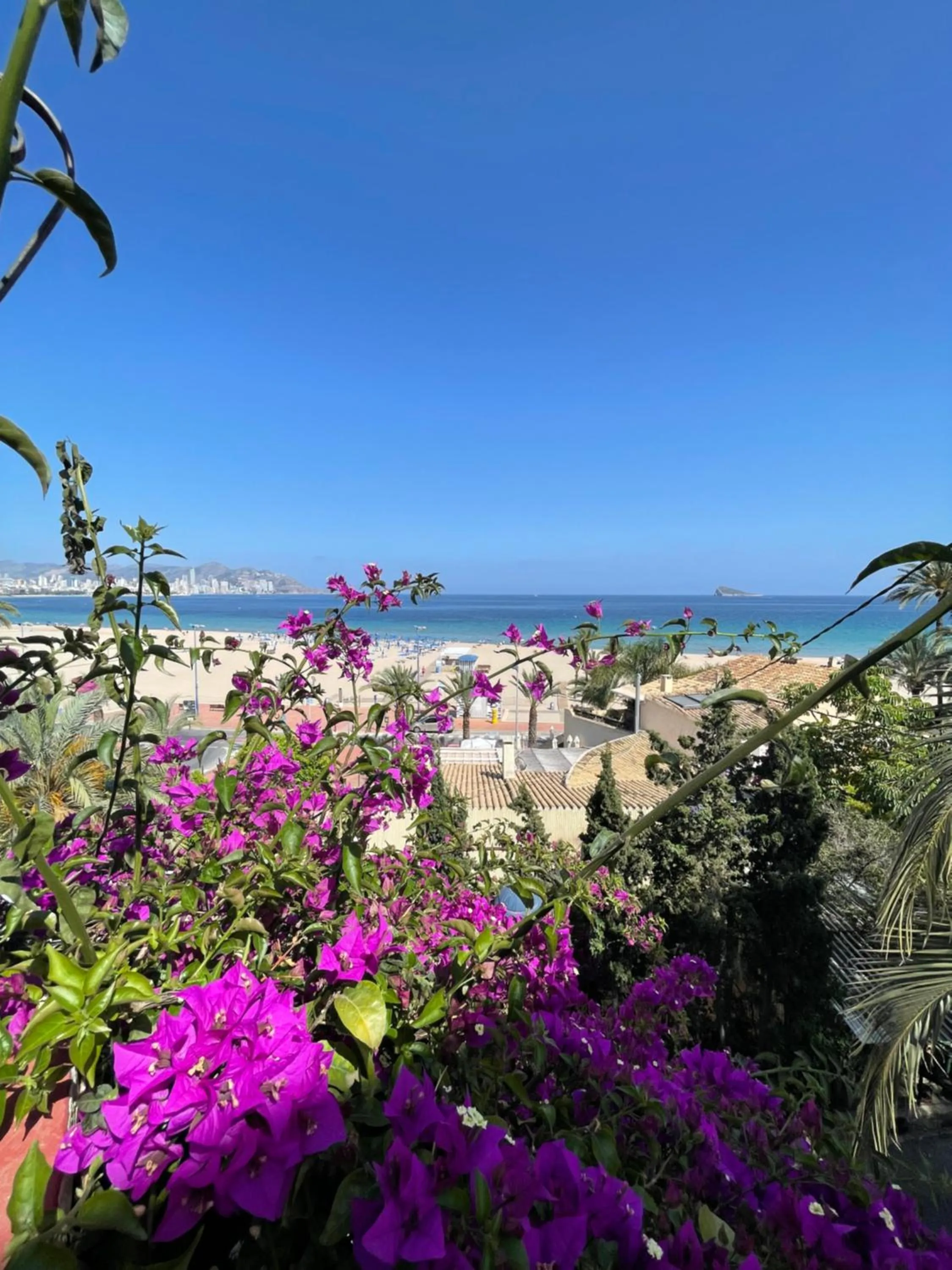 Sea view in Apartamentos Bahia
