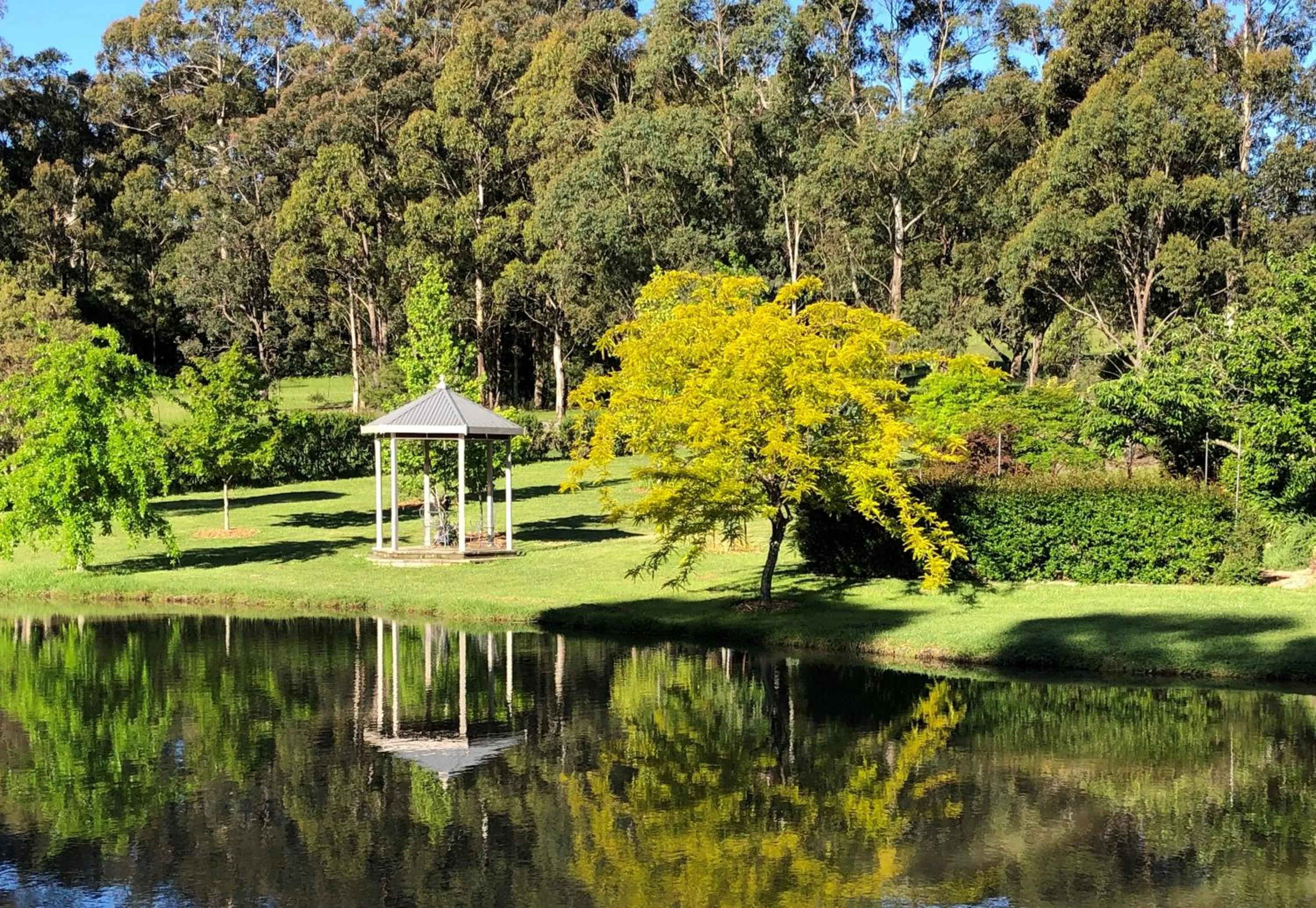 Garden view in Meriba B and B