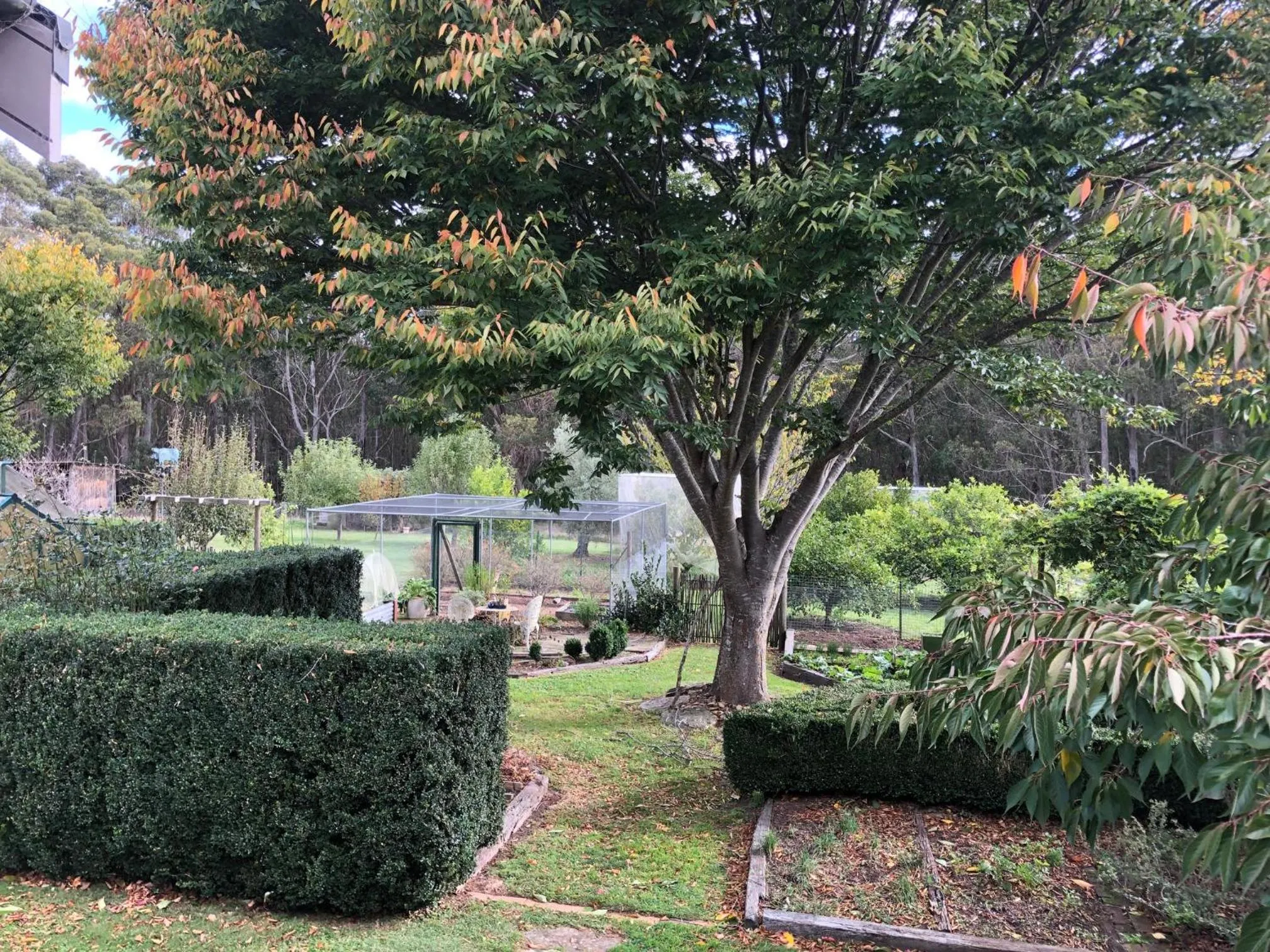 Garden view in Meriba B and B