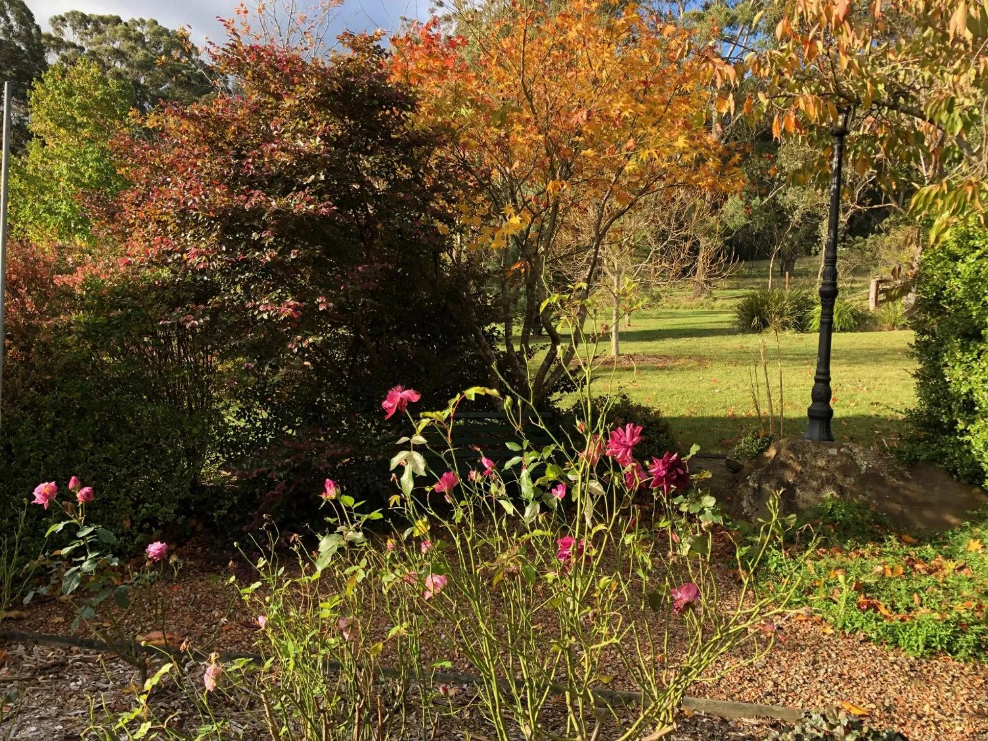 Garden in Meriba B and B