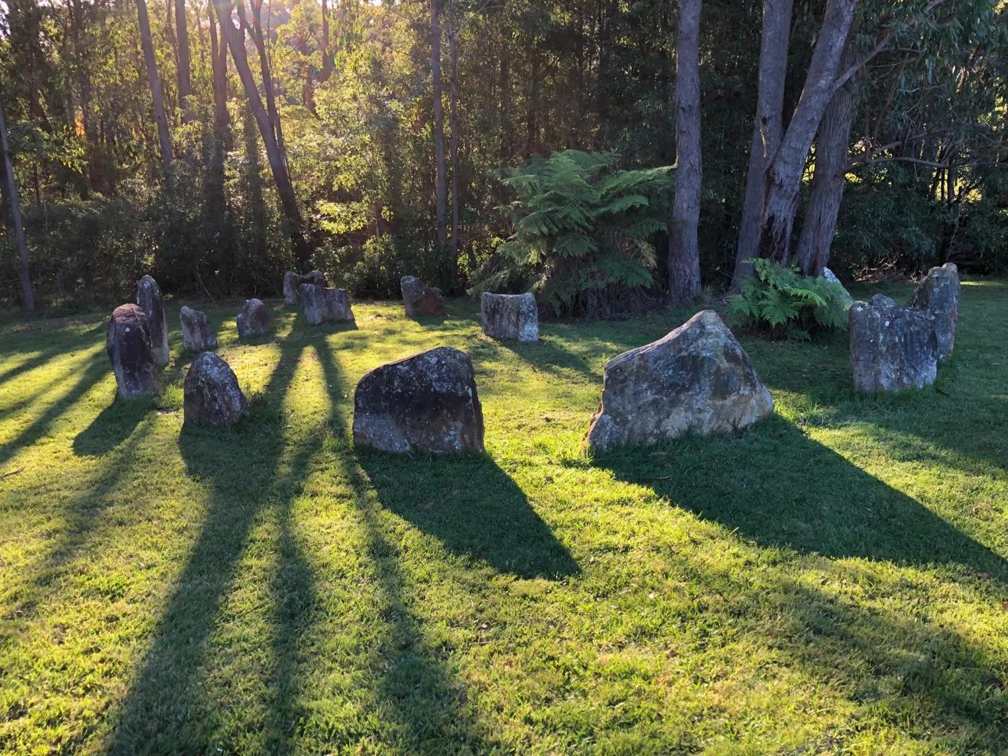 Garden in Meriba B and B