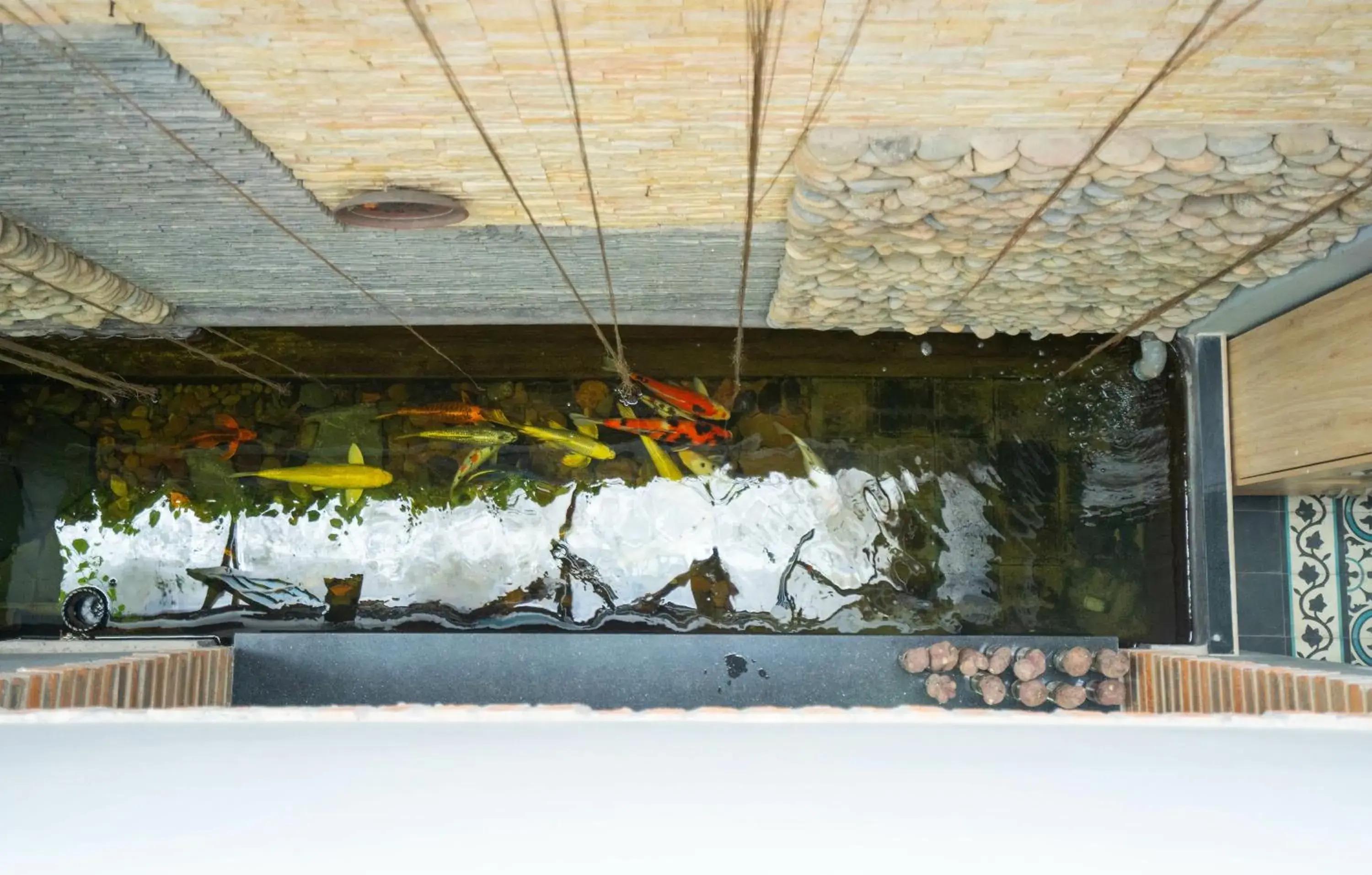 View (from property/room) in Tâm Family Homestay-Huế View (from property/room) in Tâm Family Homestay-Huế