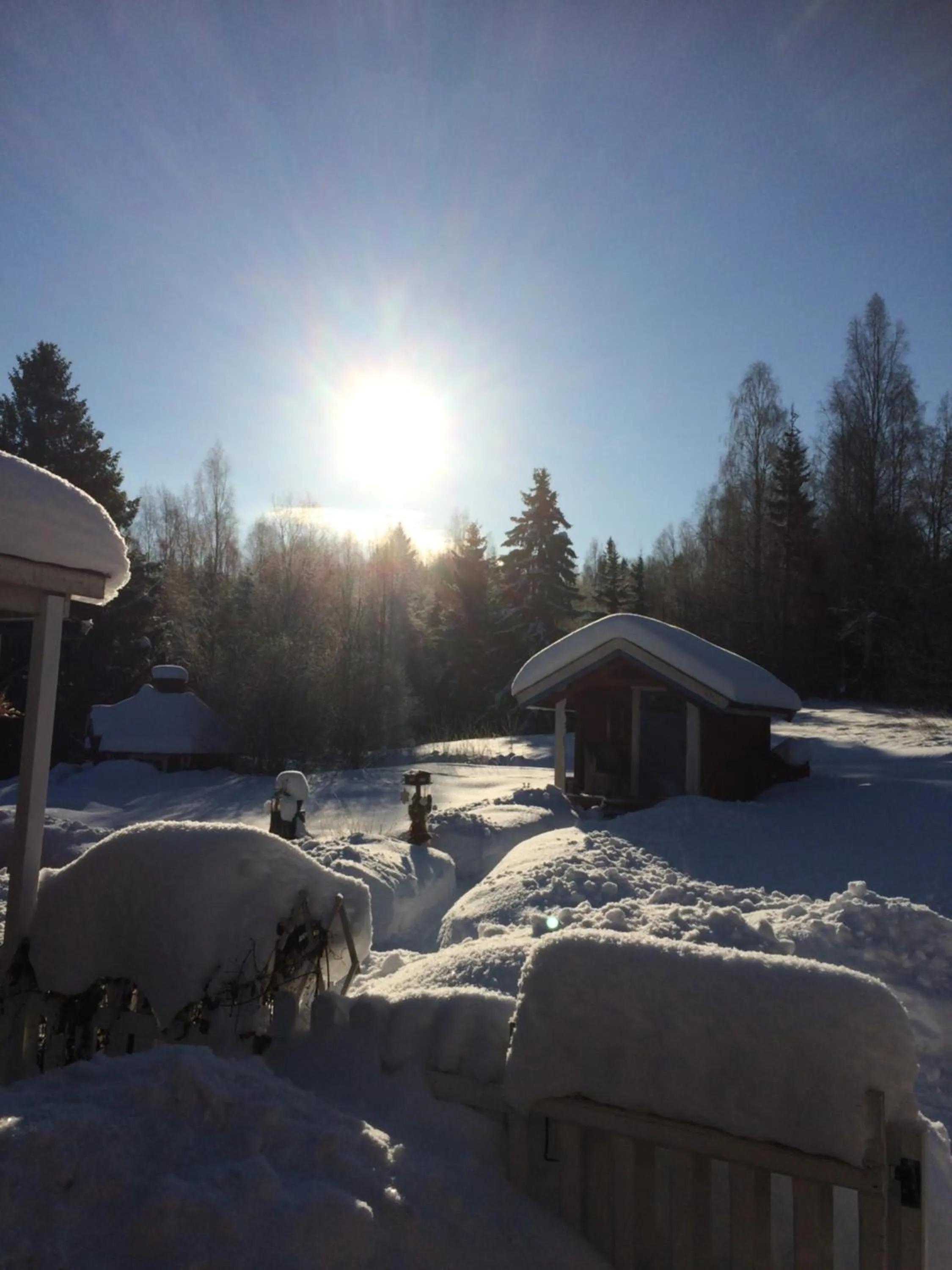Winter in Kullsbjörken Bed & Breakfast
