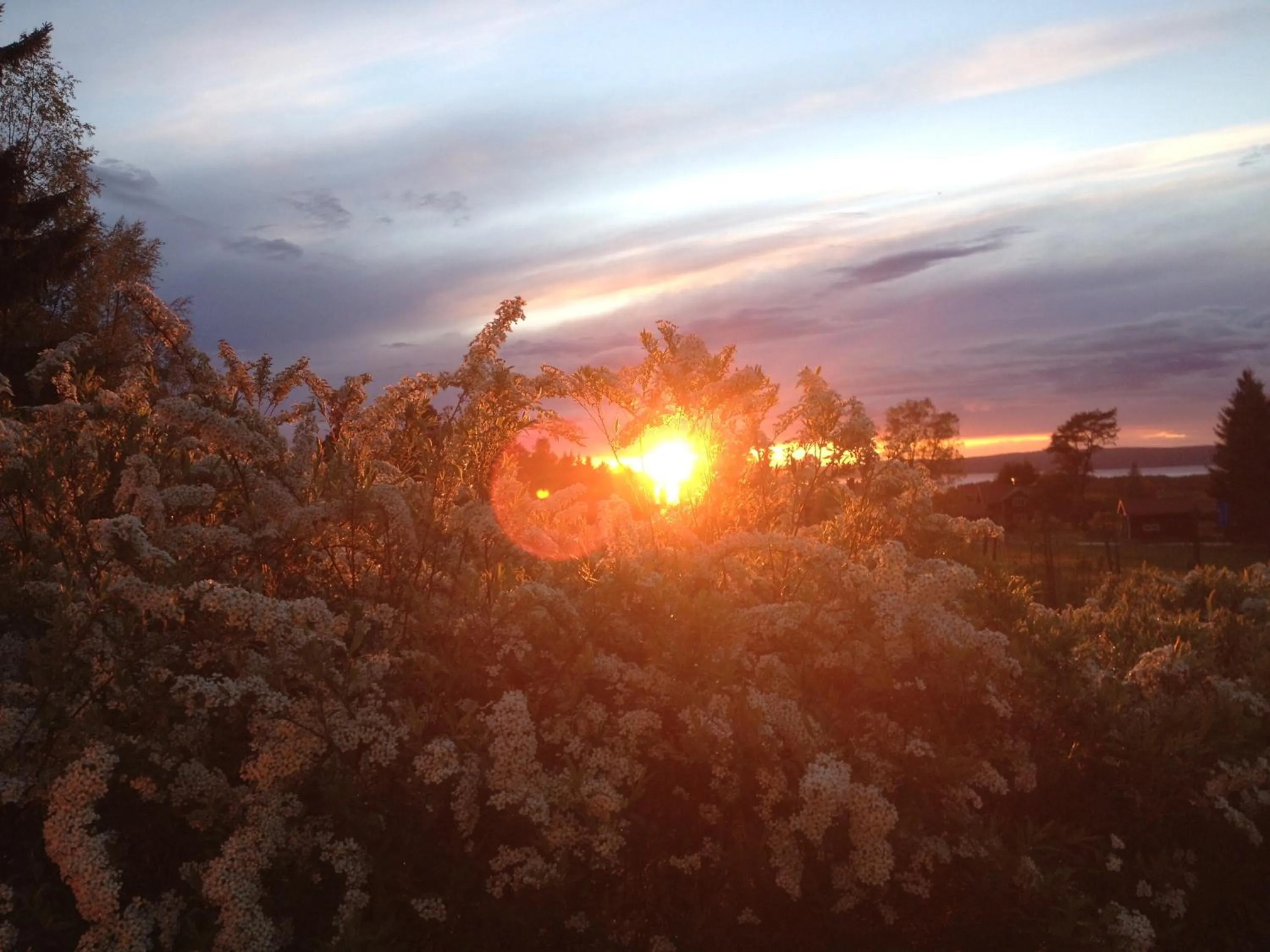 Sunset in Kullsbjörken Bed & Breakfast