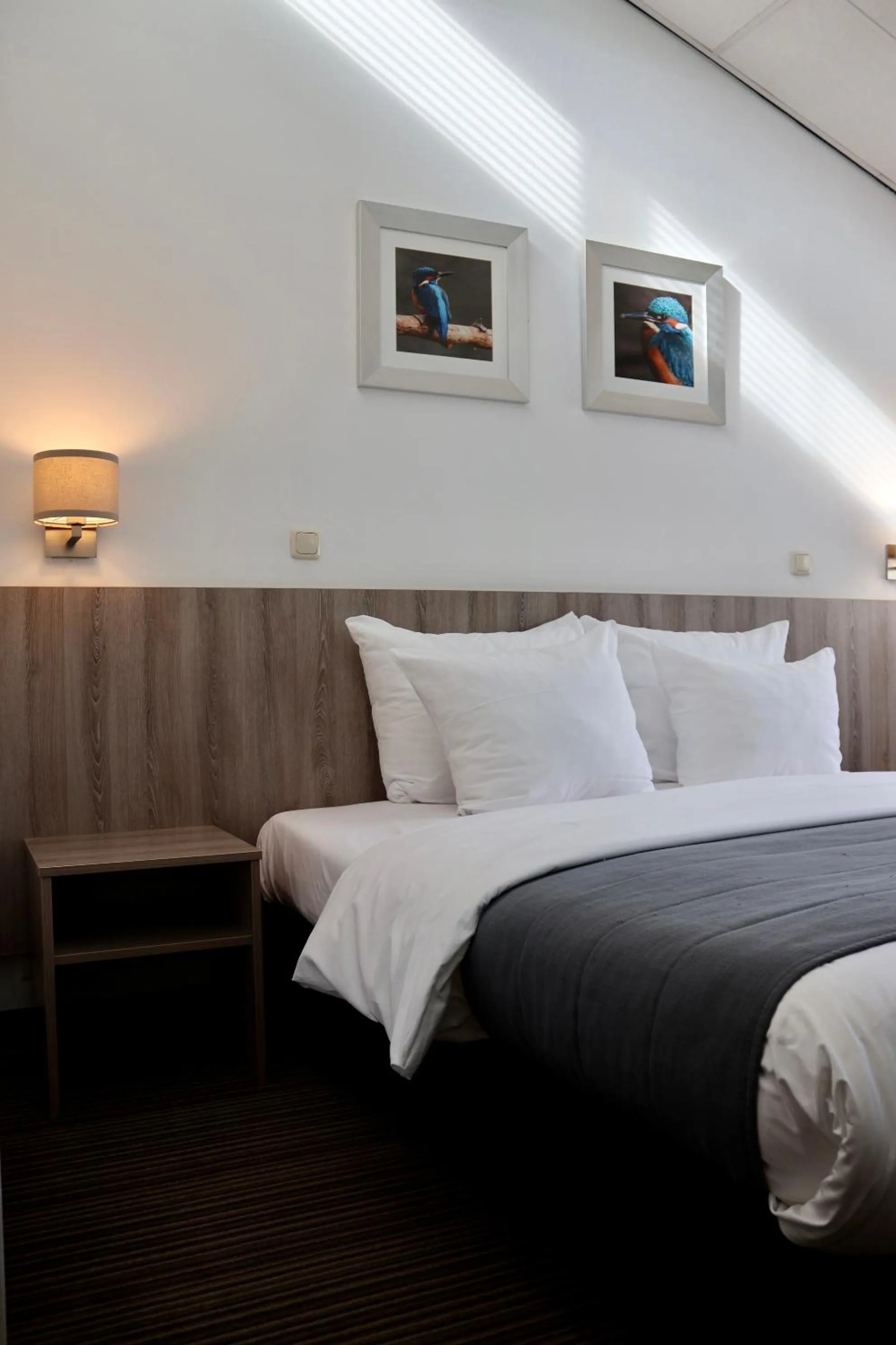 Bed in Landgoed Oud Poelgeest - Leiden