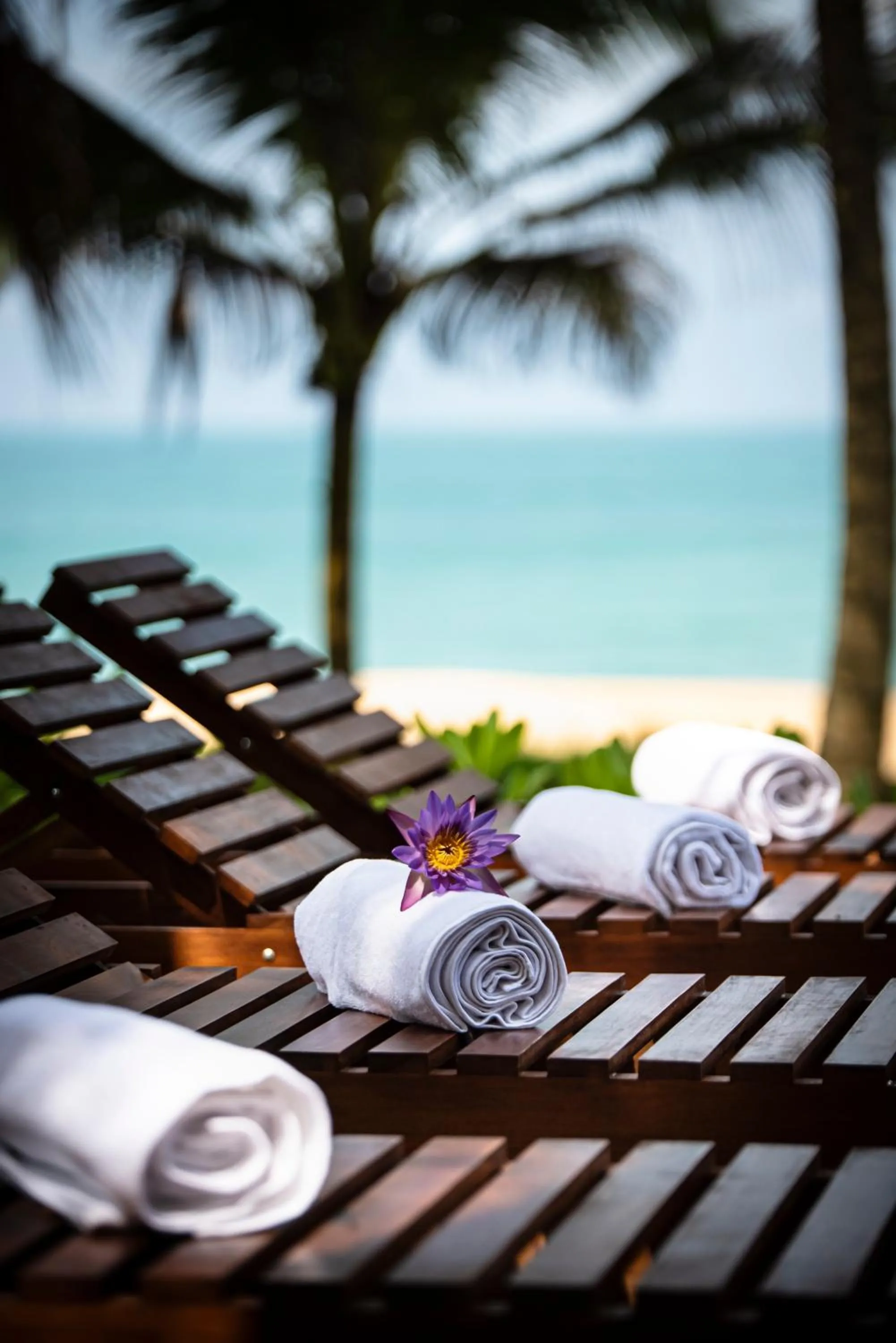 Balcony/Terrace in The Rockwall Boutique Hotel Bentota